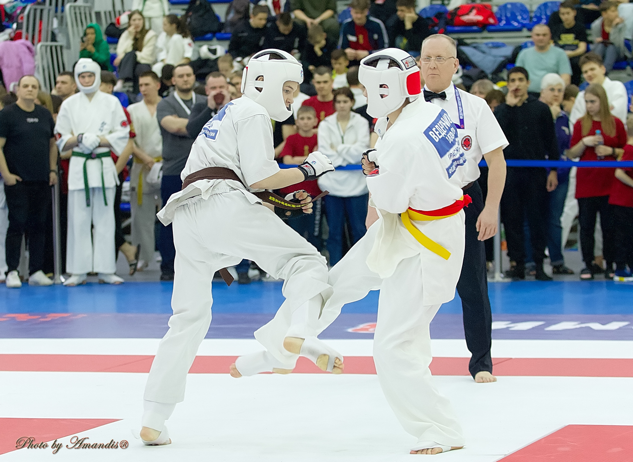 Чемпионат России по Киокушин. Репортажная съемка в Москве и области. Анималистика