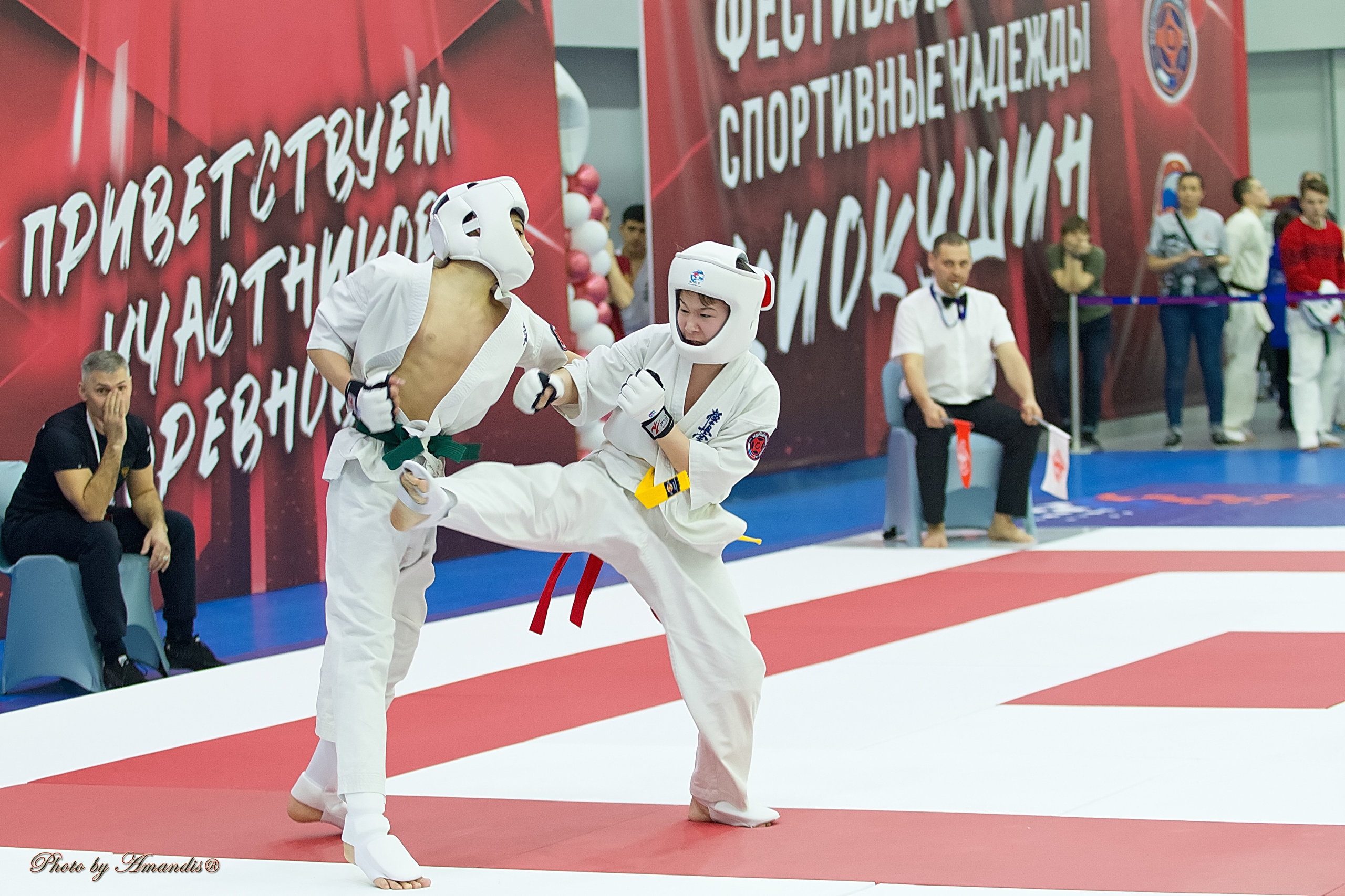 Чемпионат России по Киокушин. Репортажная съемка в Москве и области. Анималистика