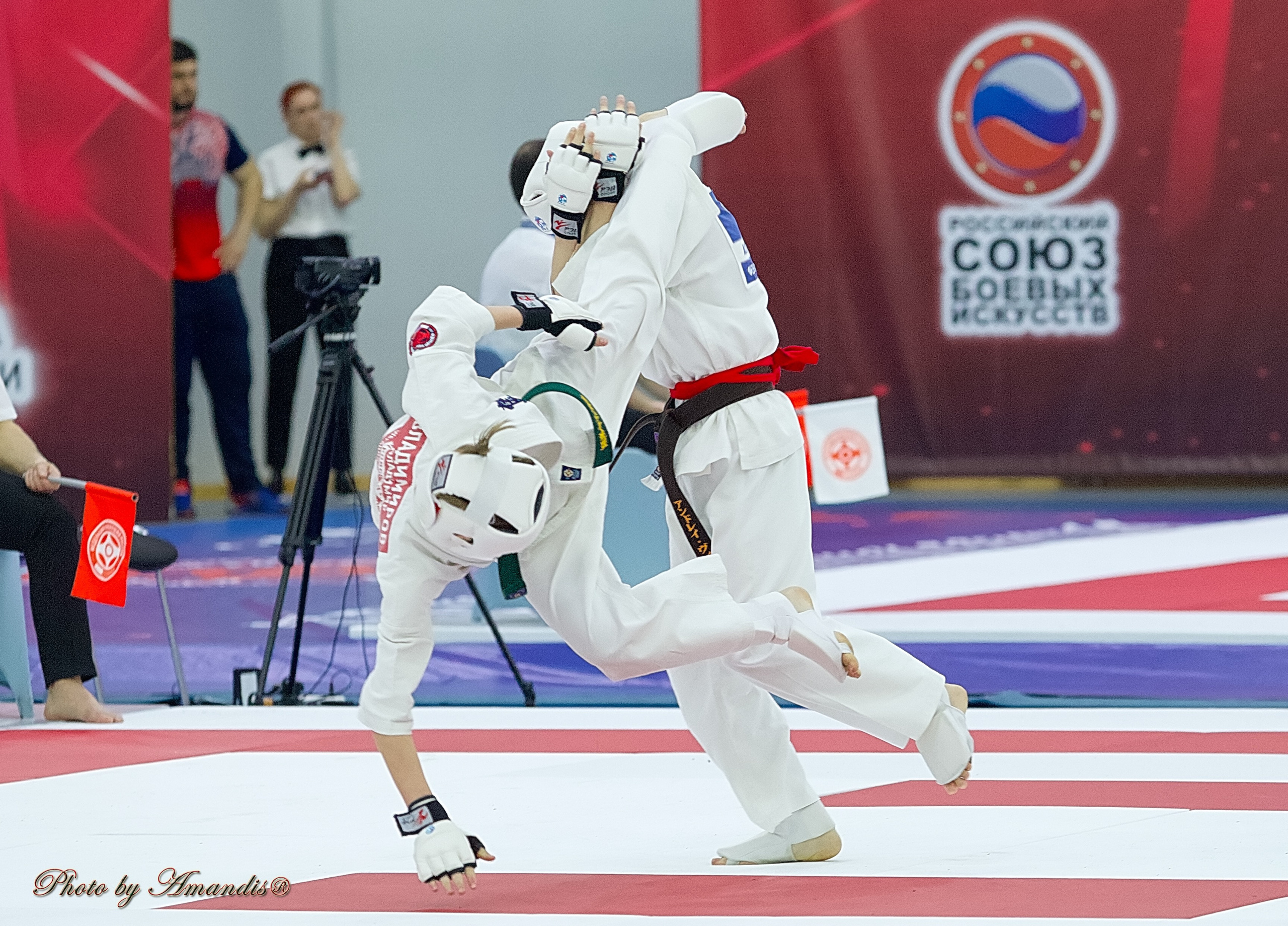 Чемпионат России по Киокушин. Репортажная съемка в Москве и области. Анималистика