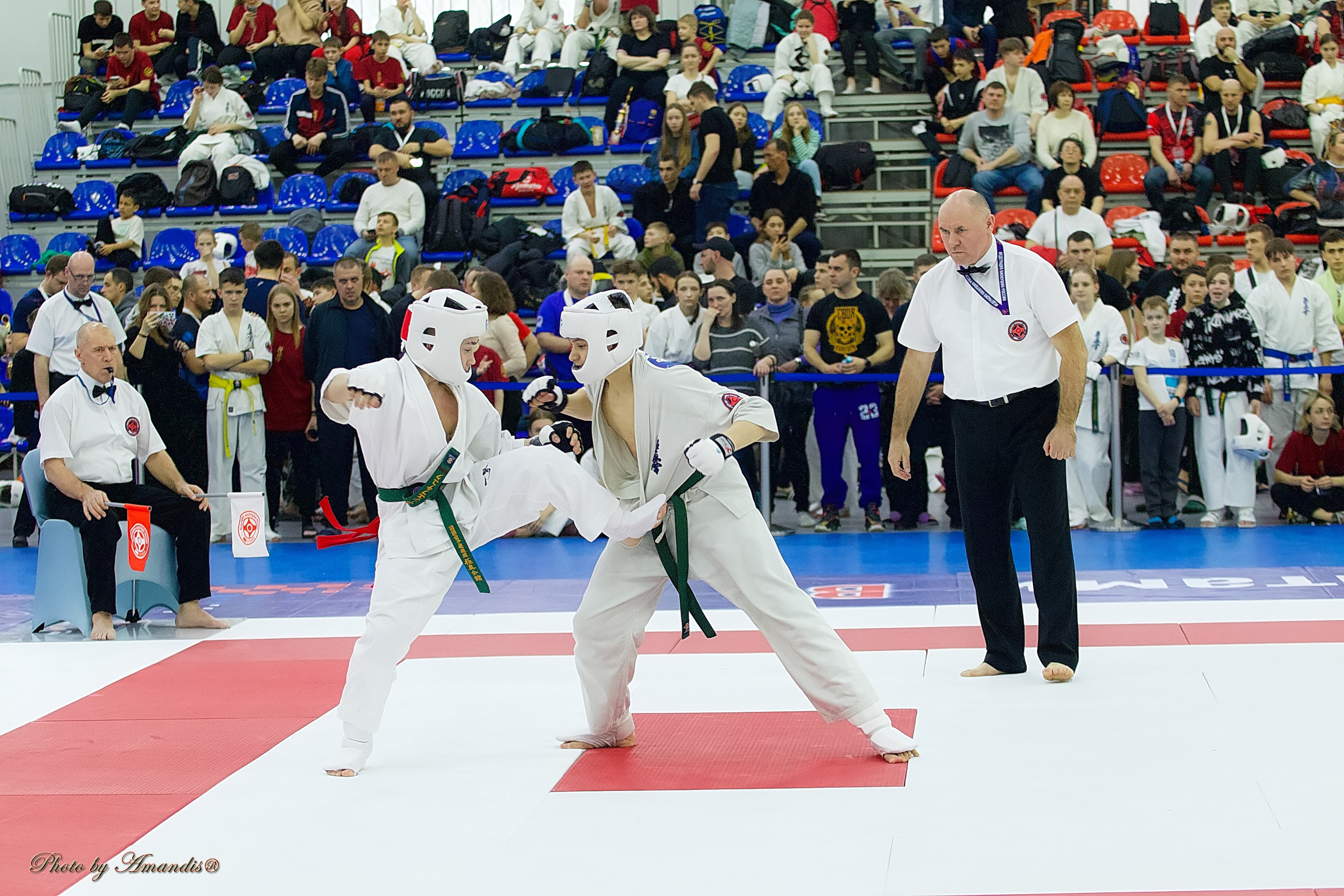 Чемпионат России по Киокушин. Репортажная съемка в Москве и области. Анималистика