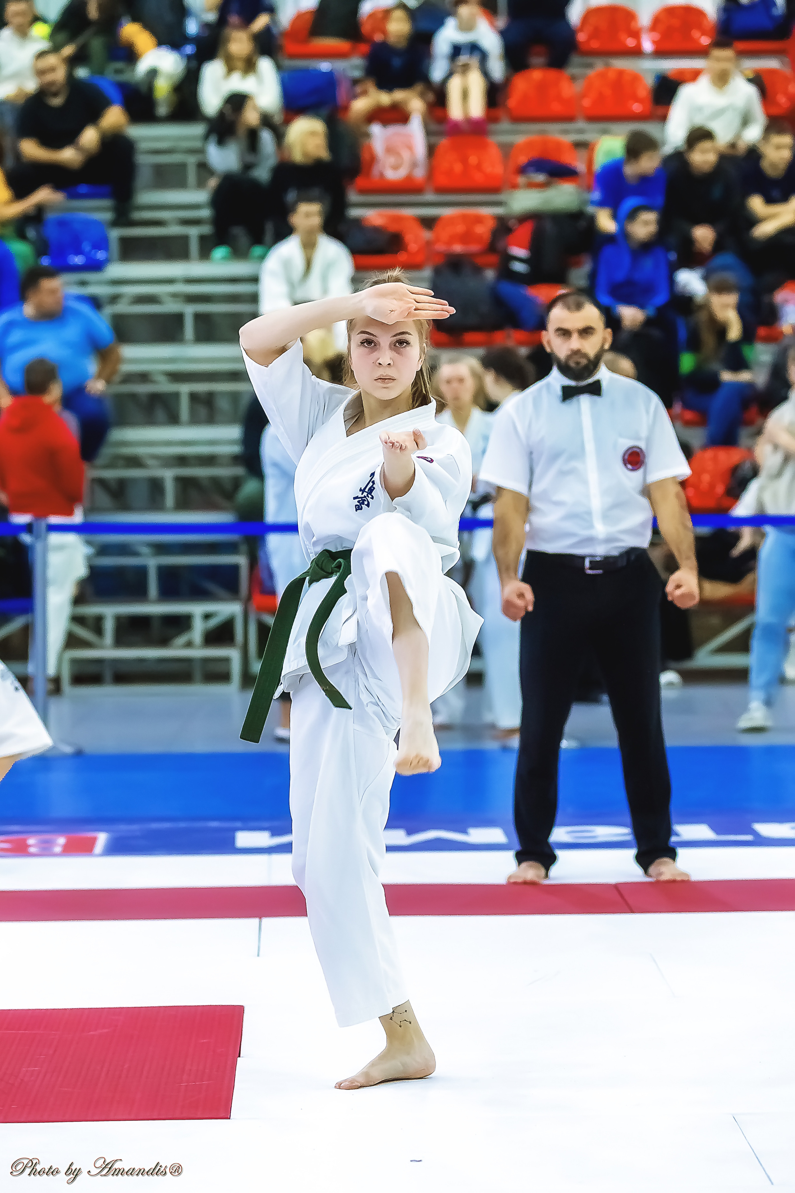 Чемпионат России по Киокушинкай (ноябрь 2022). Репортажная съемка в Москве и области. Анималистика