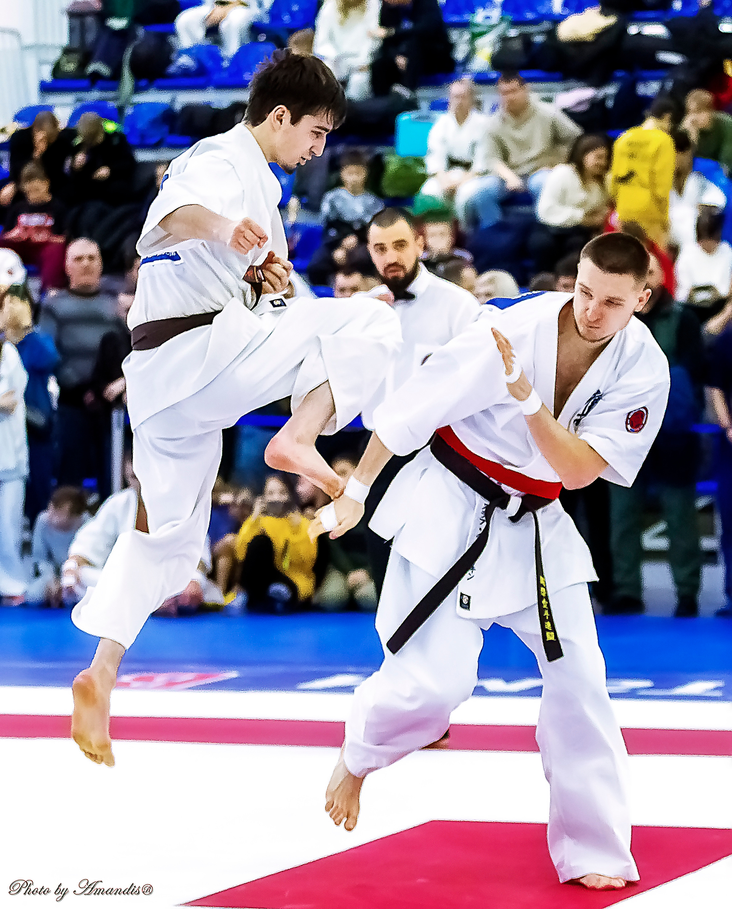 Чемпионат России по Киокушинкай (ноябрь 2022). Репортажная съемка в Москве и области. Анималистика