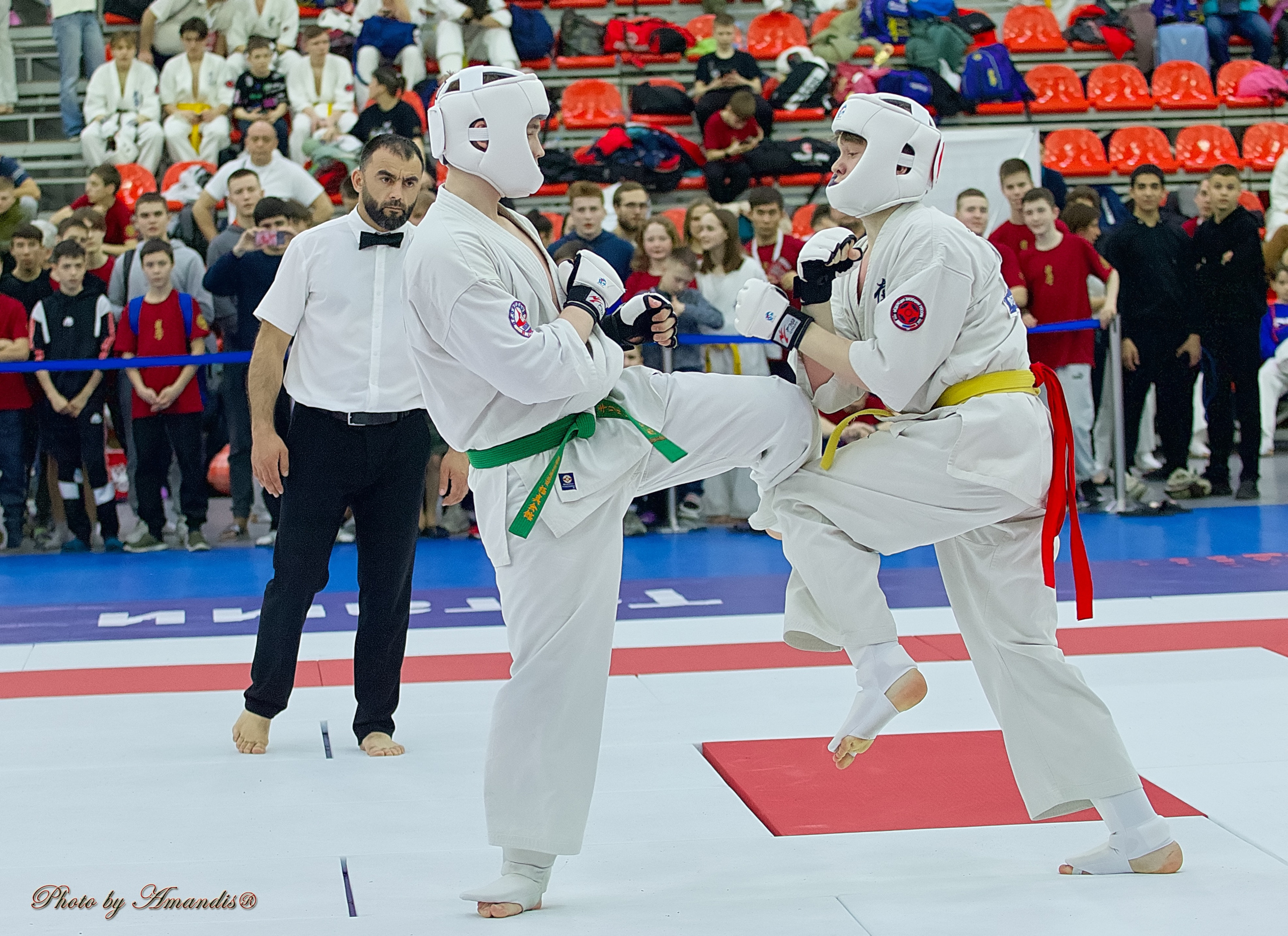 Чемпионат России по Киокушин. Репортажная съемка в Москве и области. Анималистика