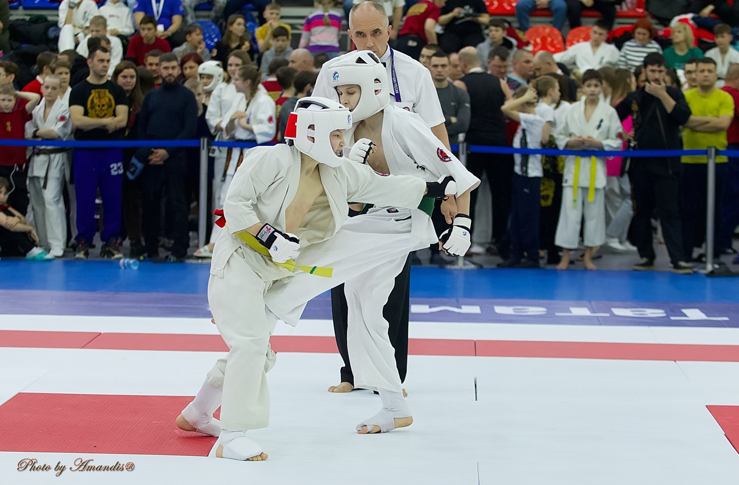 Чемпионат России по Киокушин. Репортажная съемка в Москве и области. Анималистика