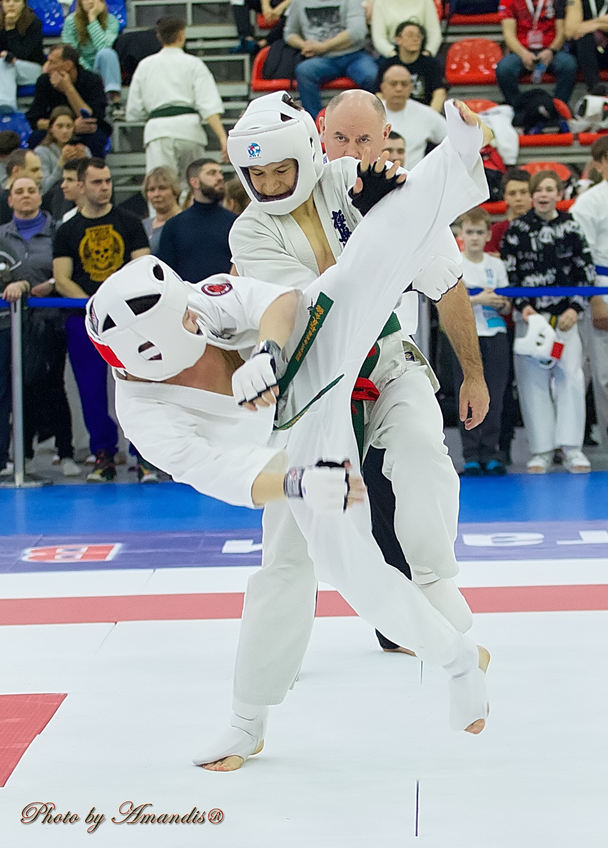 Чемпионат России по Киокушин. Репортажная съемка в Москве и области. Анималистика