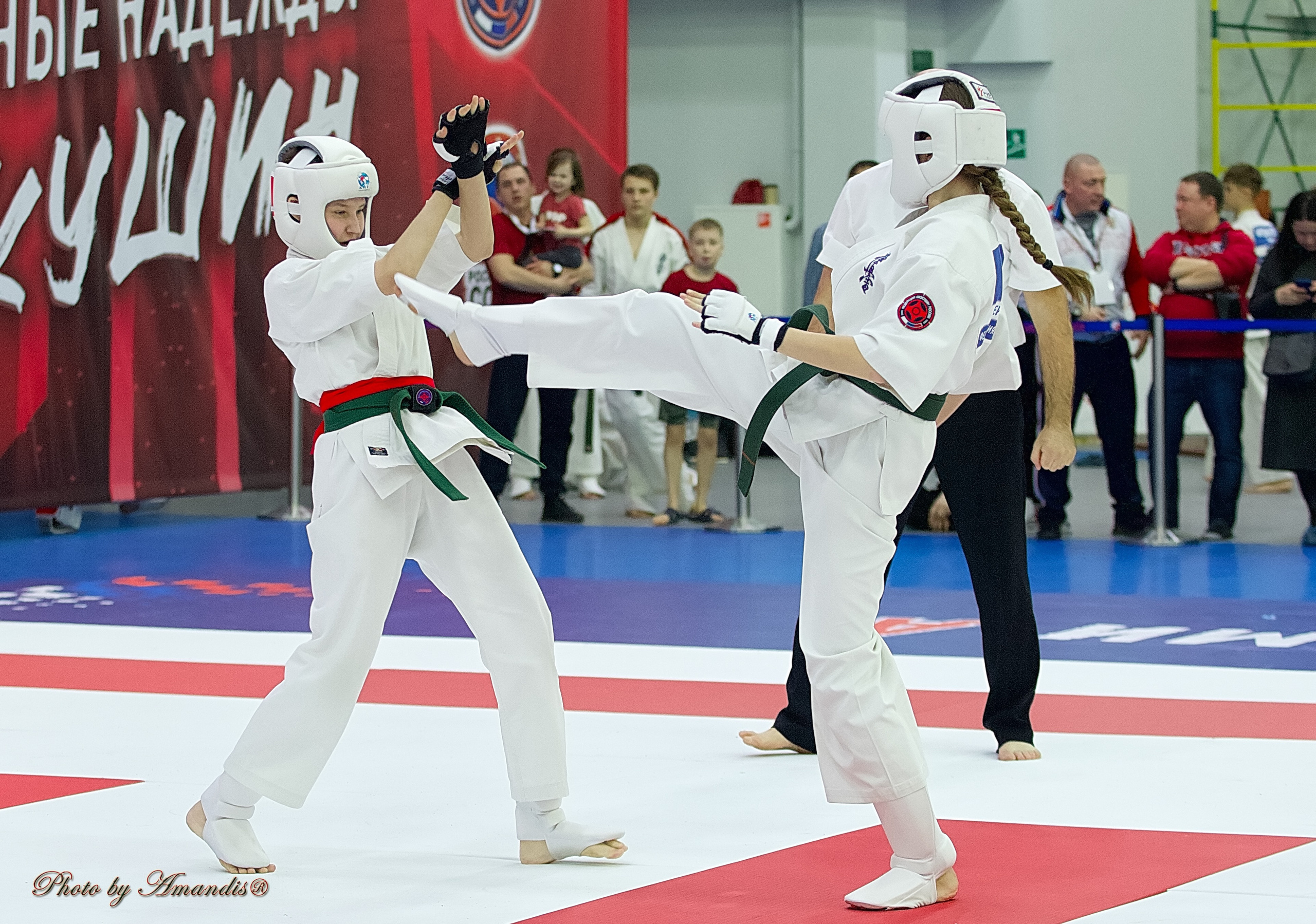 Чемпионат России по Киокушин. Репортажная съемка в Москве и области. Анималистика