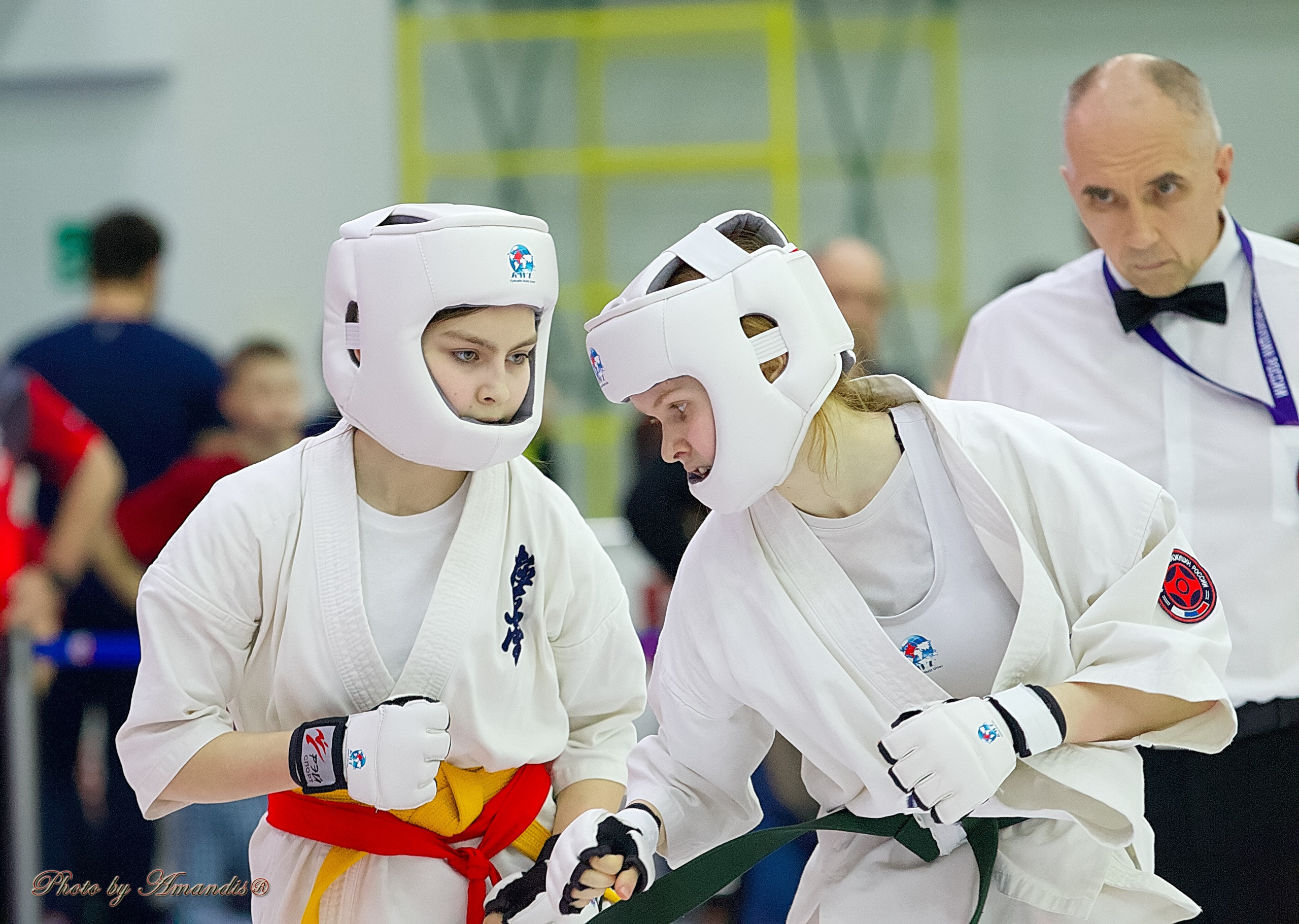 Чемпионат России по Киокушин. Репортажная съемка в Москве и области. Анималистика