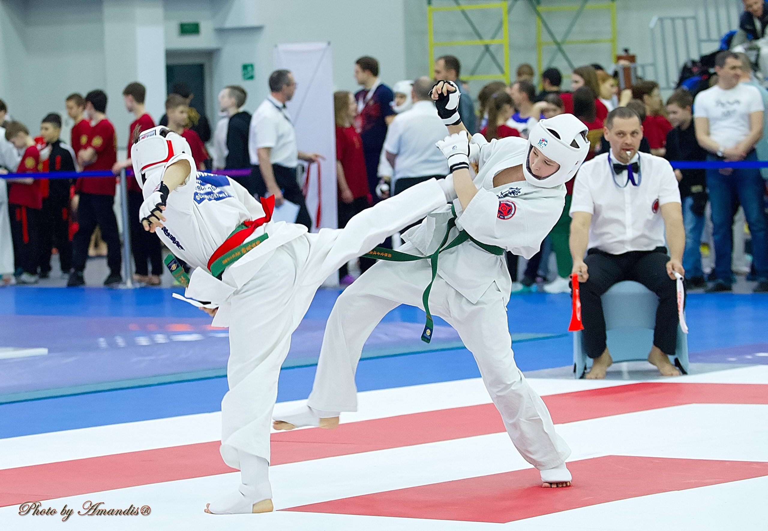 Чемпионат России по Киокушин. Репортажная съемка в Москве и области. Анималистика