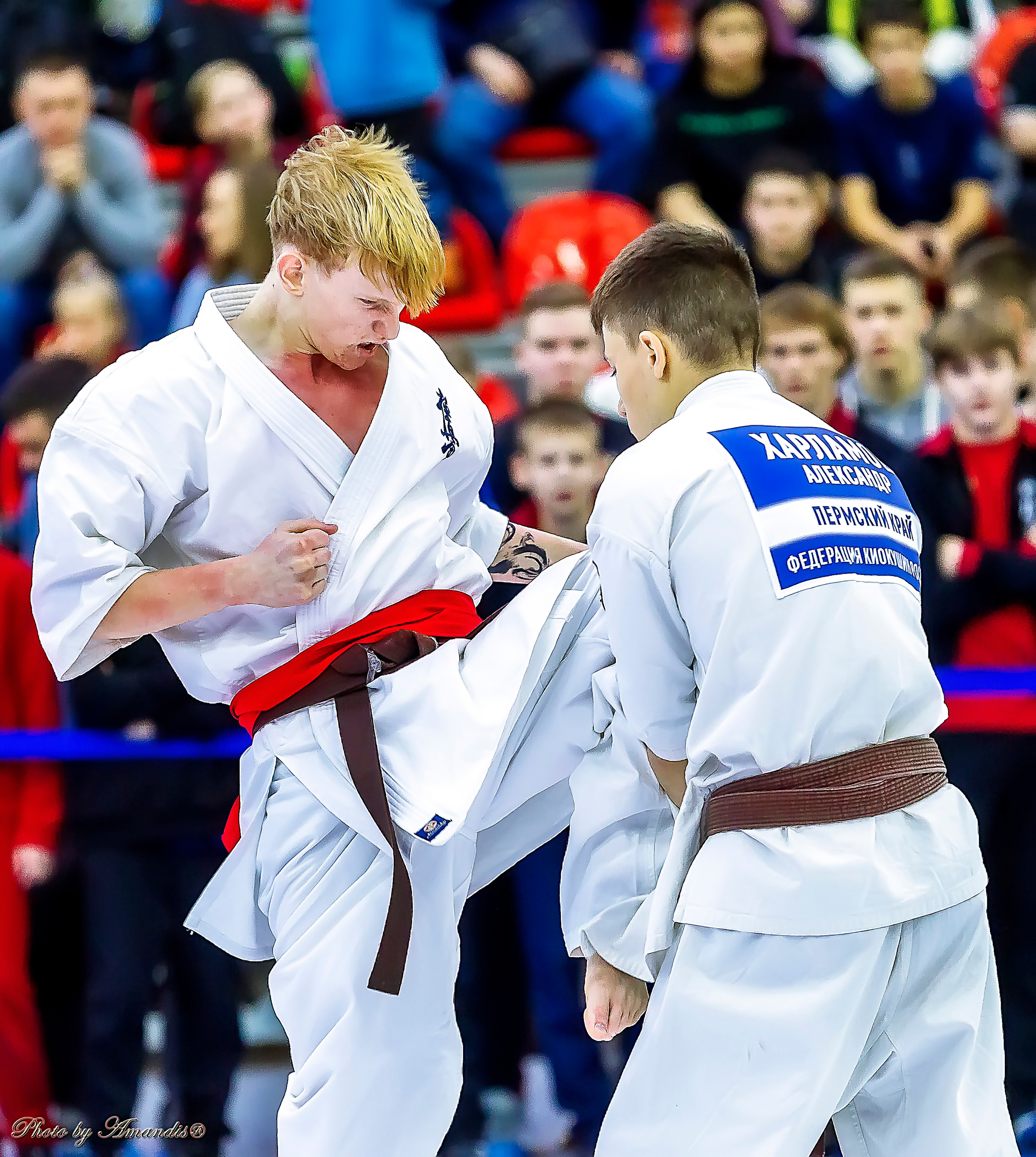 Чемпионат России по Киокушинкай (ноябрь 2022). Репортажная съемка в Москве и области. Анималистика