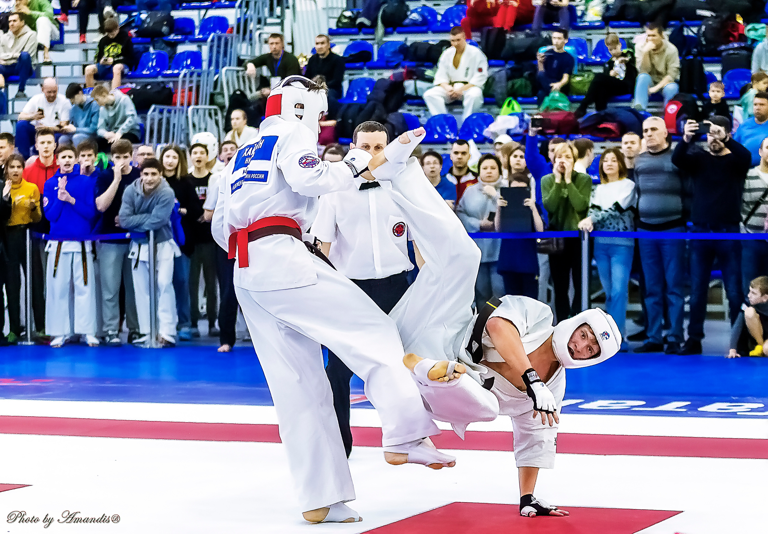 Чемпионат России по Киокушинкай (ноябрь 2022). Репортажная съемка в Москве и области. Анималистика