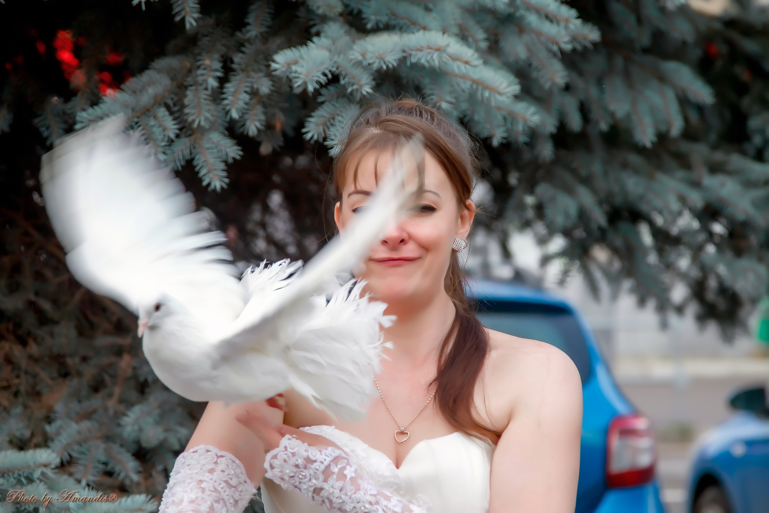 Свадьба Виталия и Екатерины (Москва, август 2020). Репортажная съемка в Москве и области. Анималистика