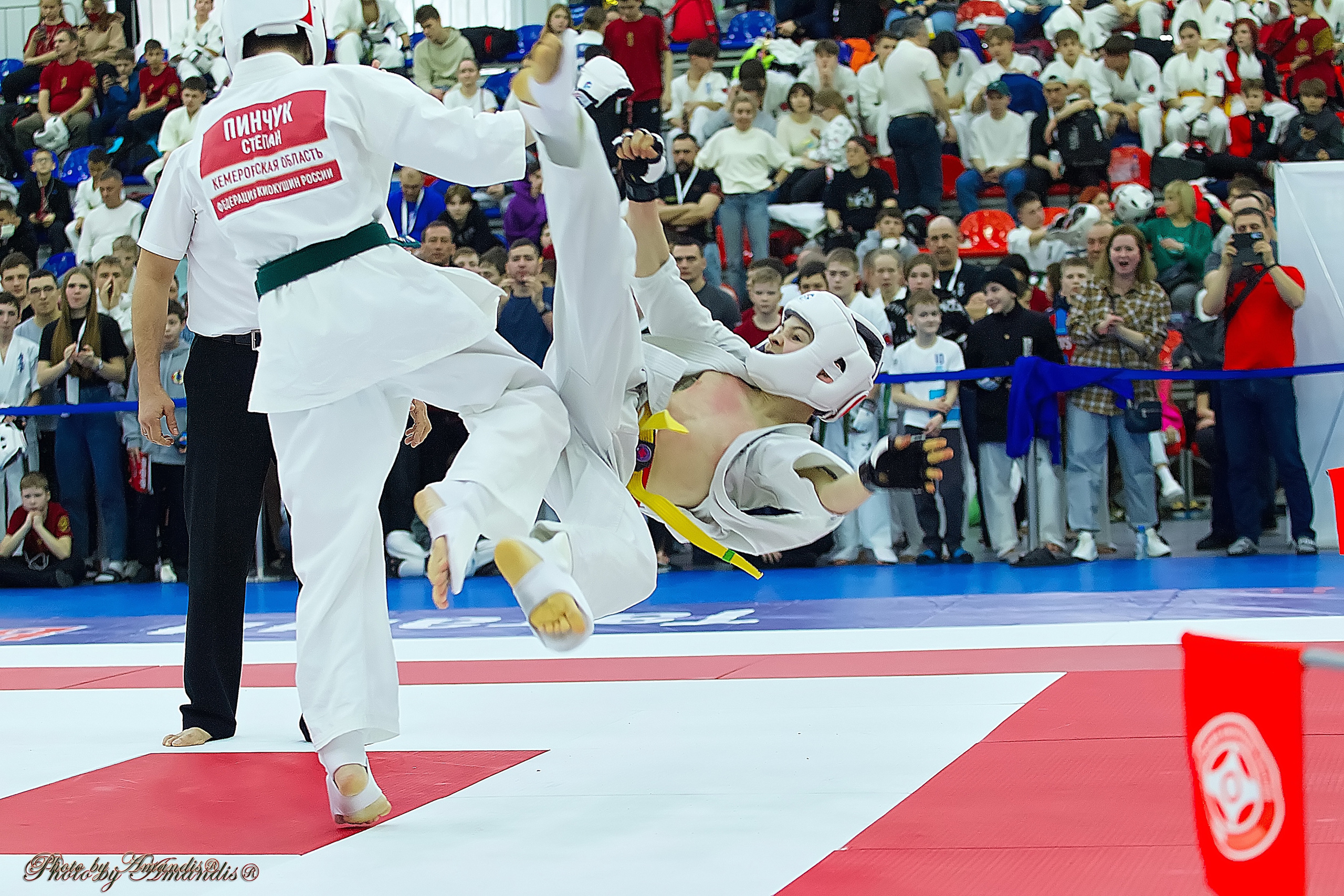 Чемпионат России по Киокушин. Репортажная съемка в Москве и области. Анималистика