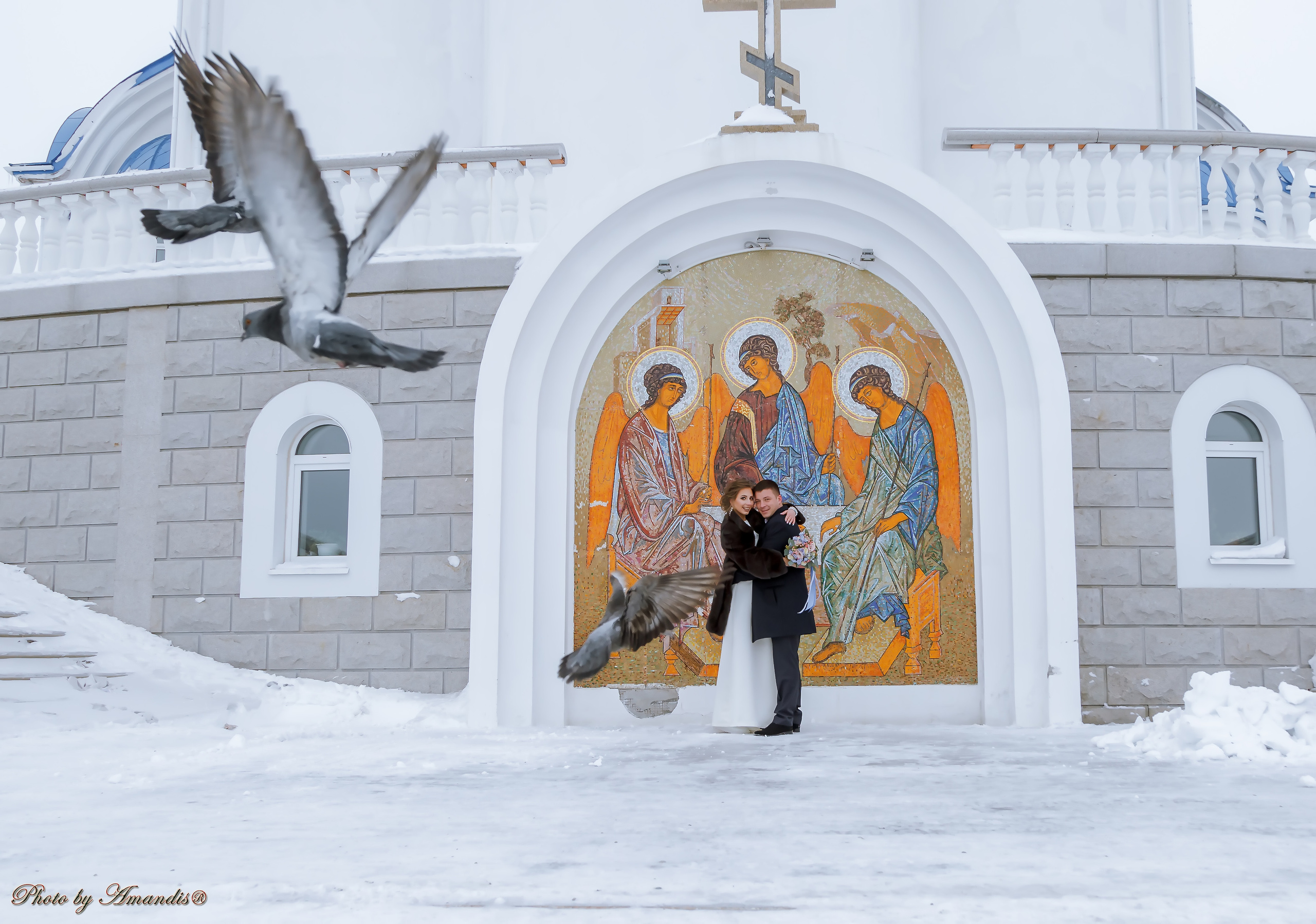 Свадьба Ивана и Марии (Петропавловск-Камчатский, январь 2019). Репортажная съемка в Москве и области. Анималистика