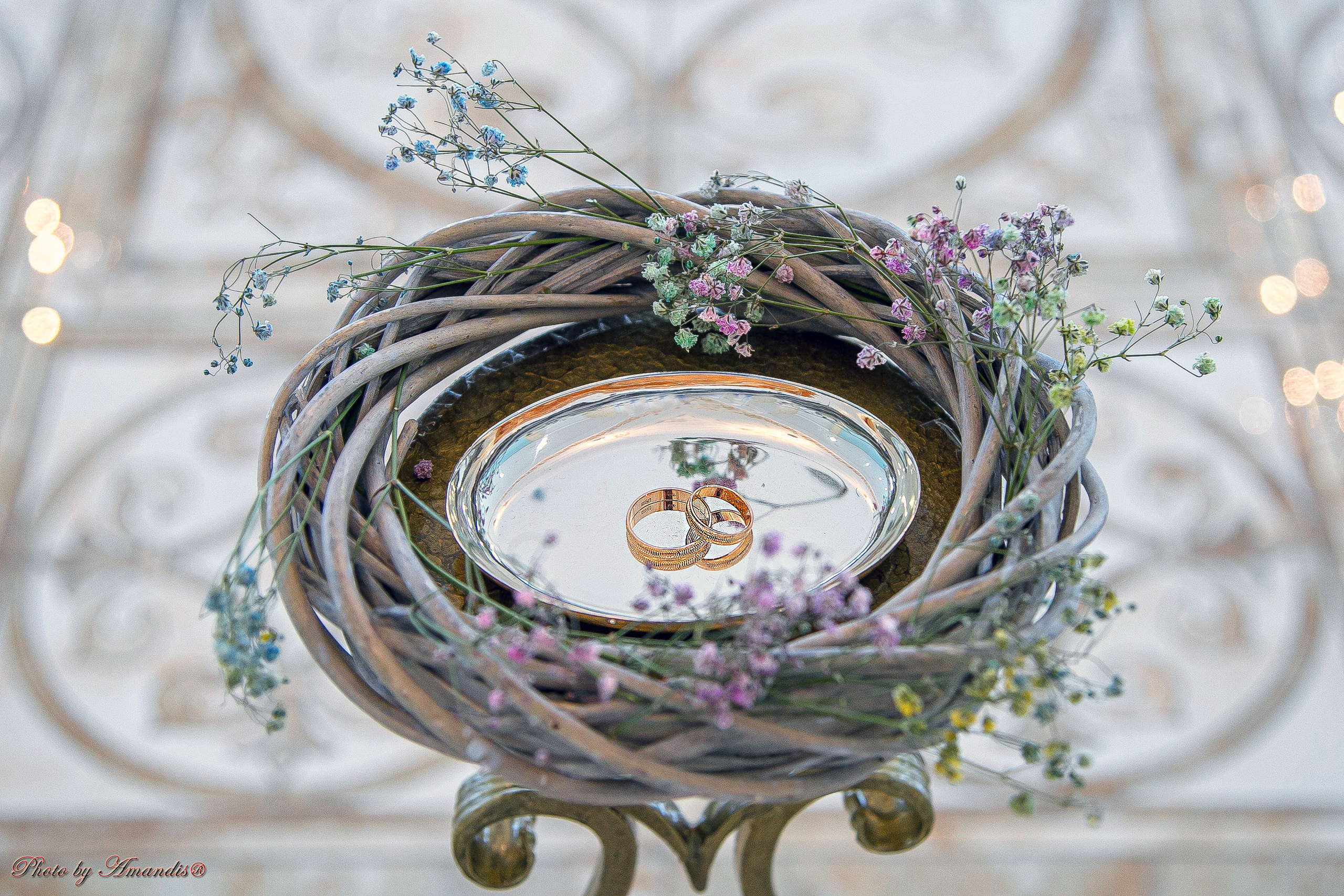 Дмитрий и Валентина. Репортажная съемка в Москве и области. Анималистика