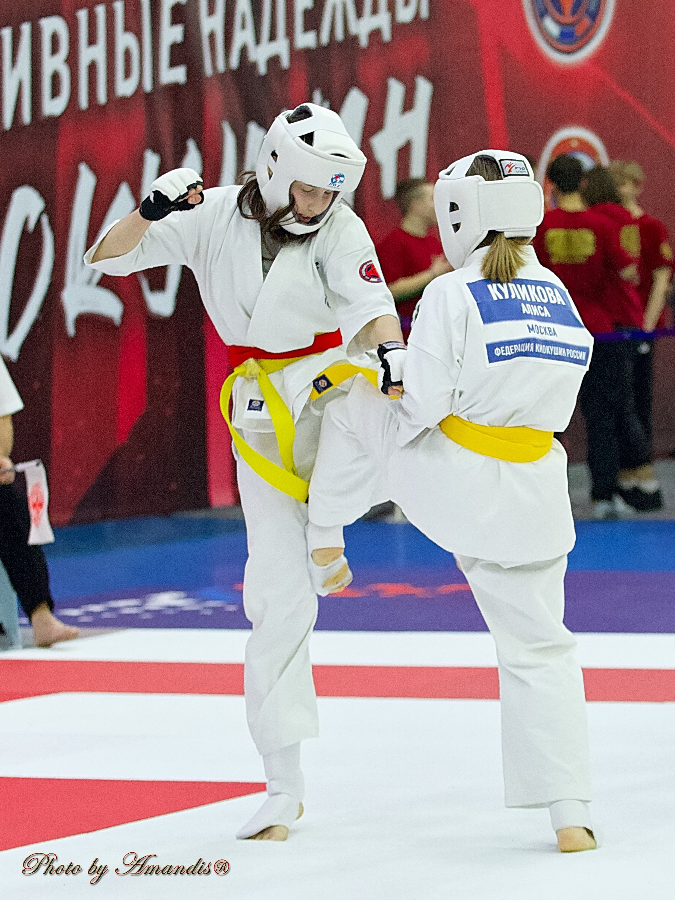 Чемпионат России по Киокушин. Репортажная съемка в Москве и области. Анималистика