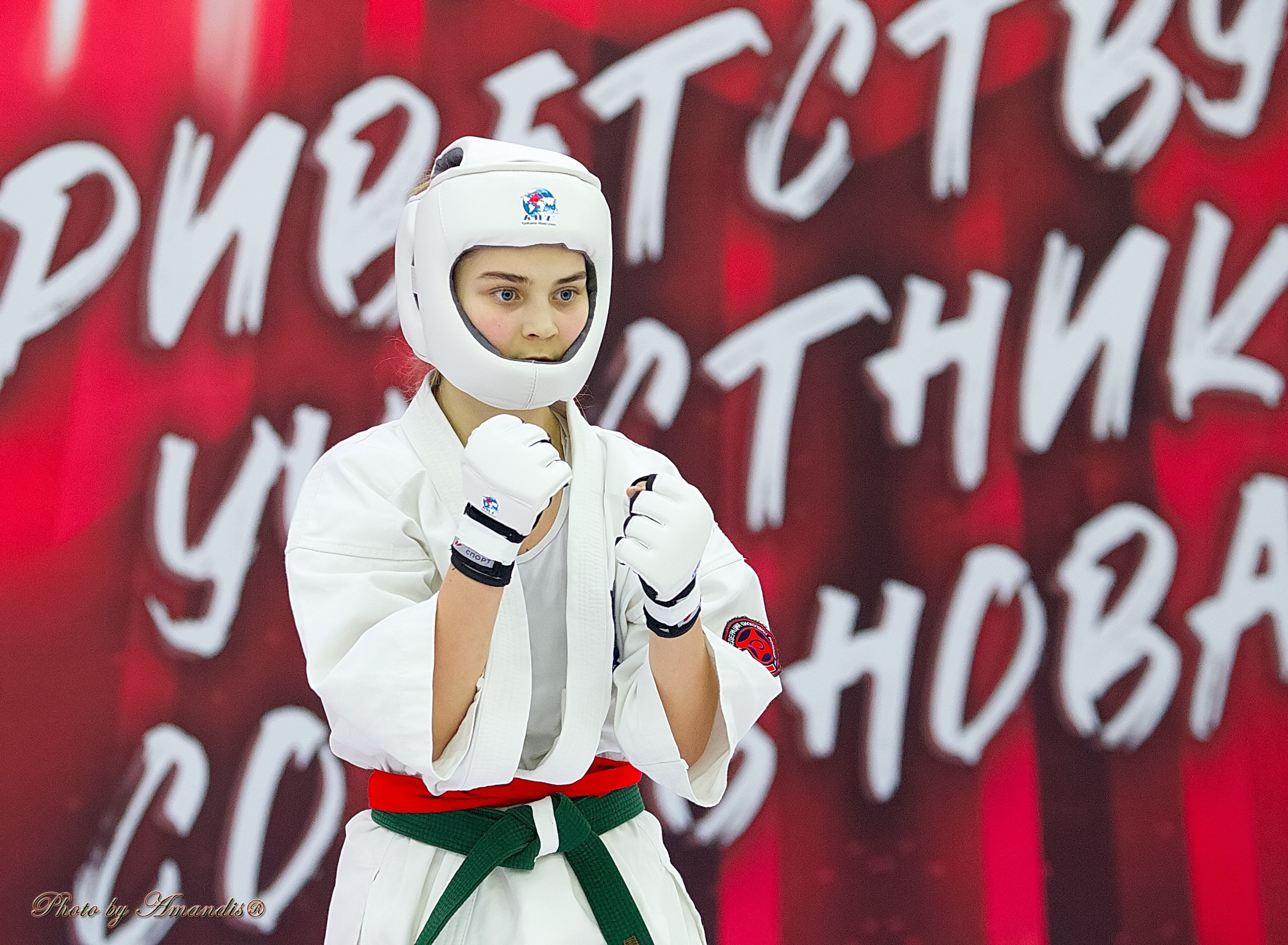 Чемпионат России по Киокушин. Репортажная съемка в Москве и области. Анималистика