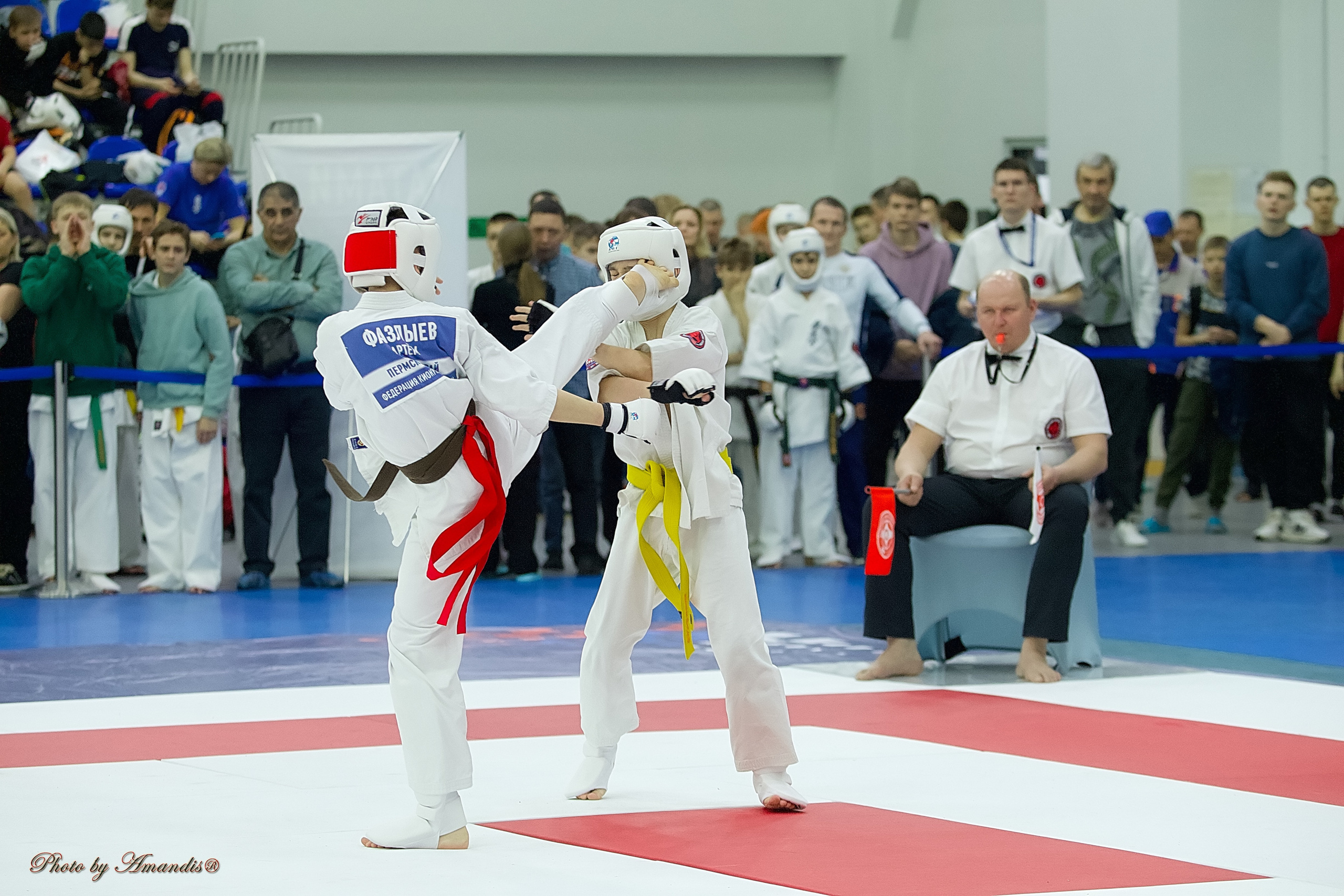 Чемпионат России по Киокушин. Репортажная съемка в Москве и области. Анималистика