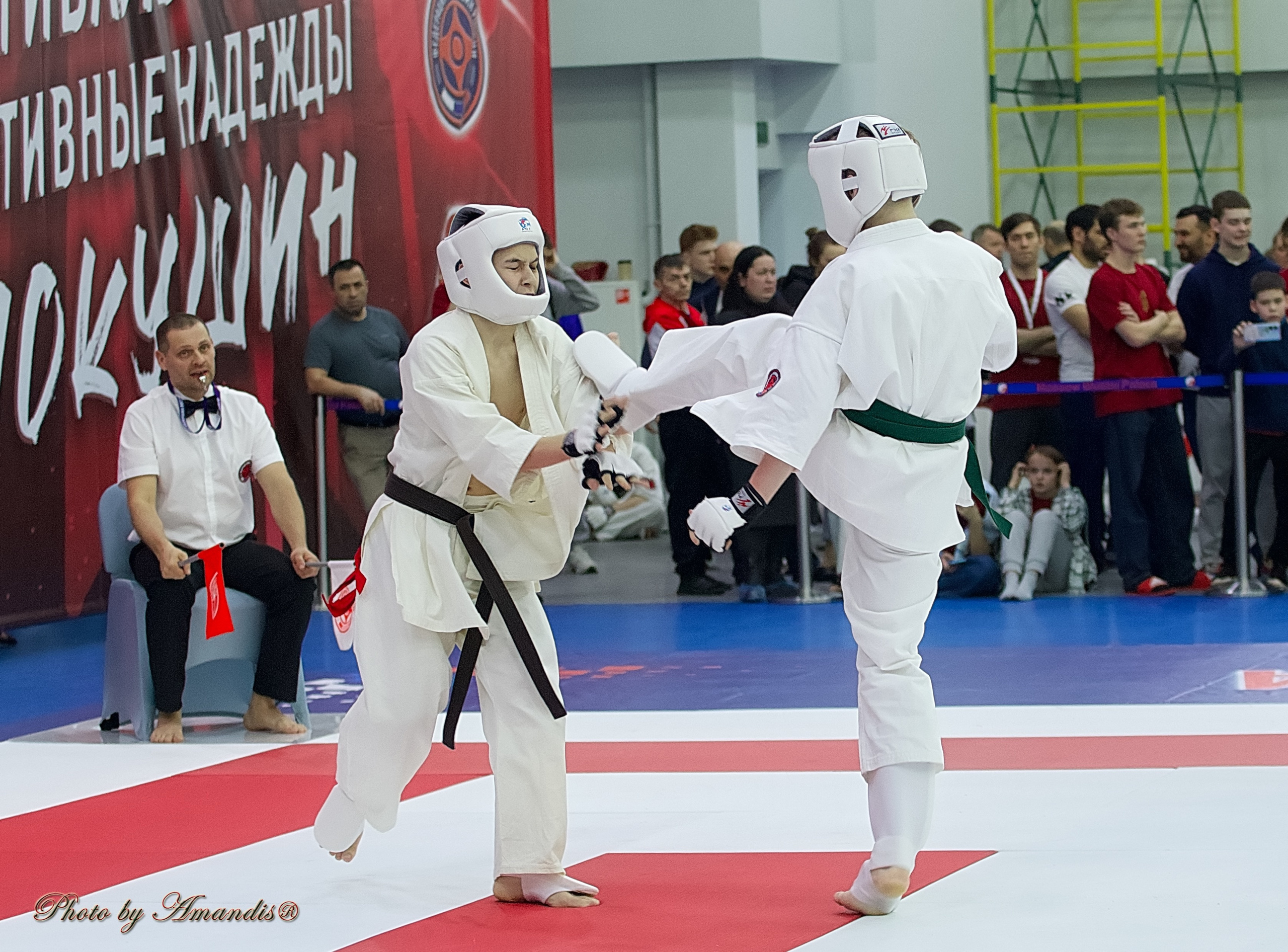 Чемпионат России по Киокушин. Репортажная съемка в Москве и области. Анималистика
