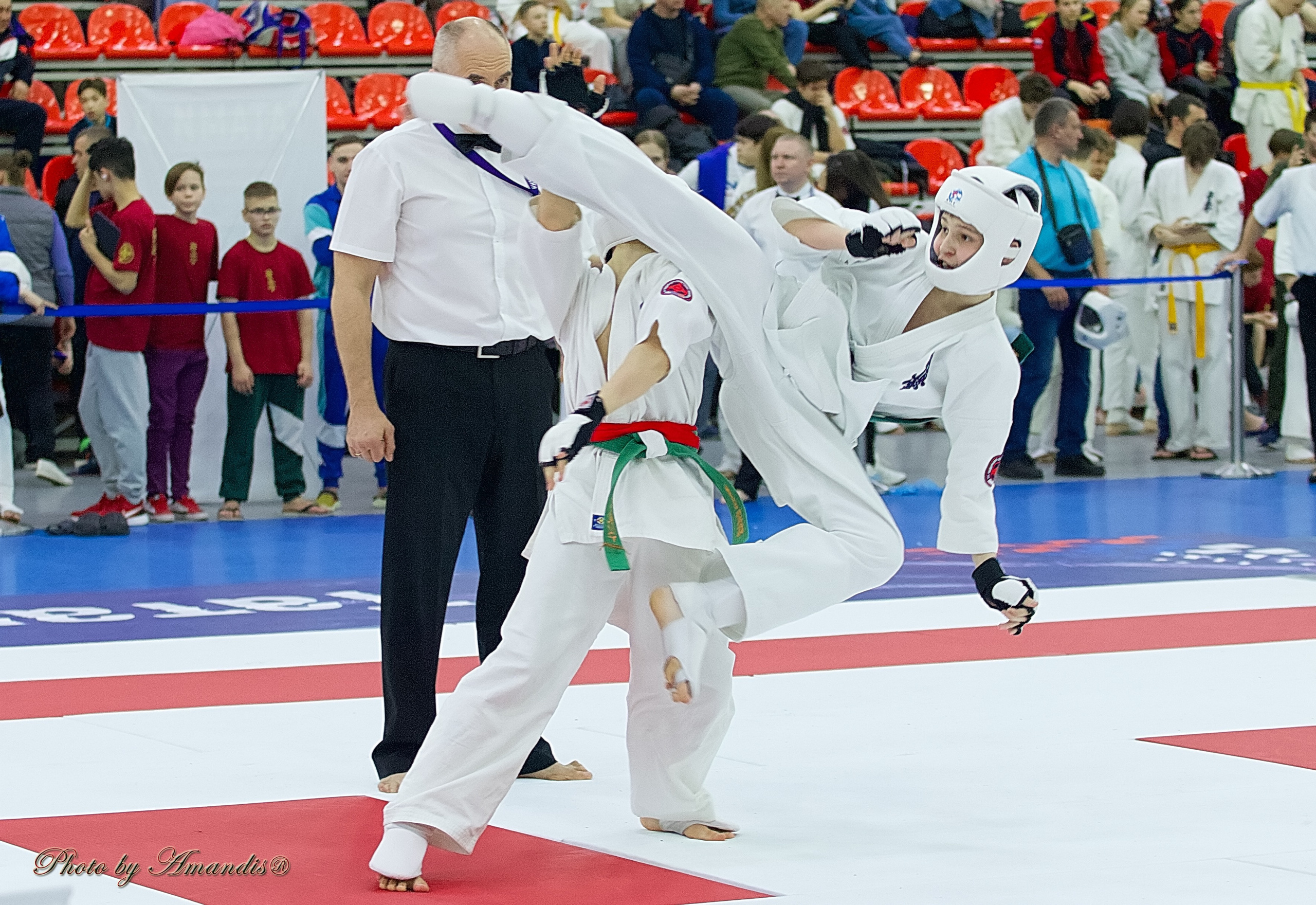 Чемпионат России по Киокушин. Репортажная съемка в Москве и области. Анималистика