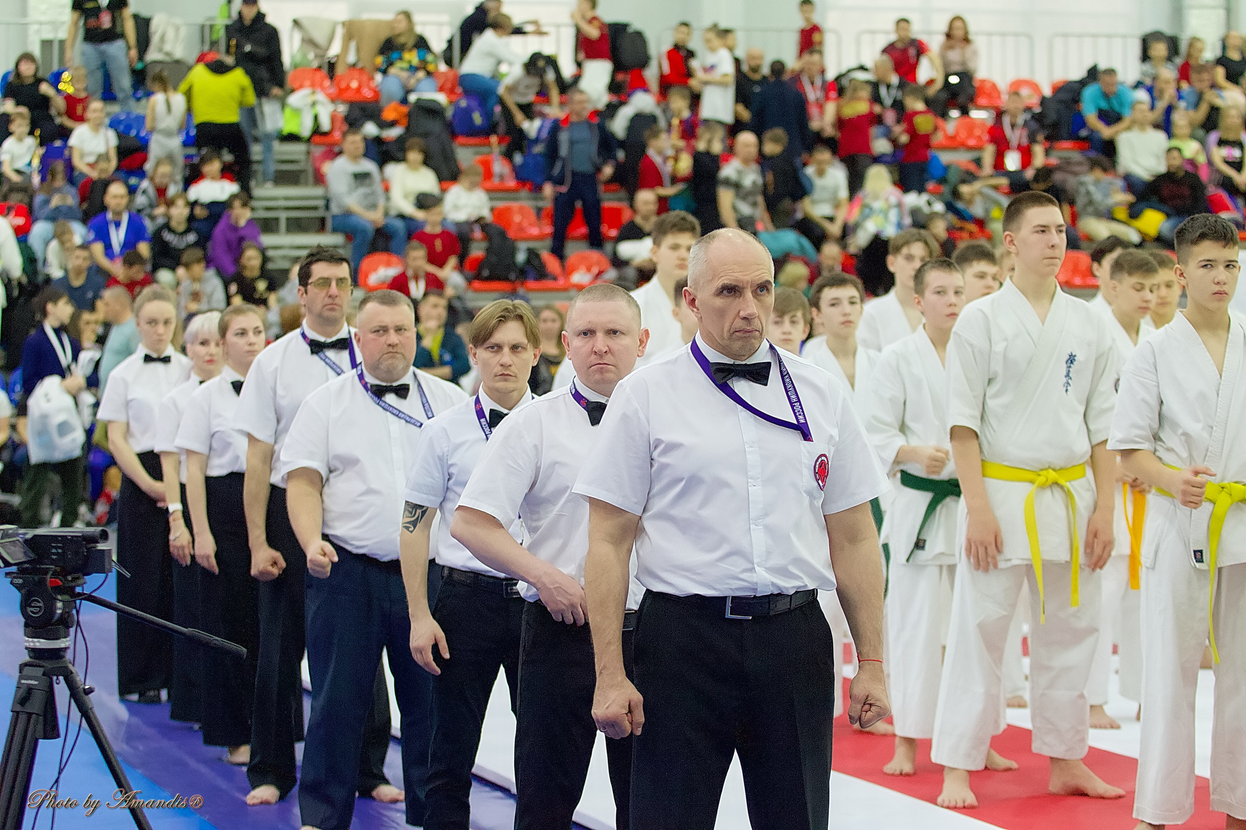 Чемпионат России по Киокушин. Репортажная съемка в Москве и области. Анималистика