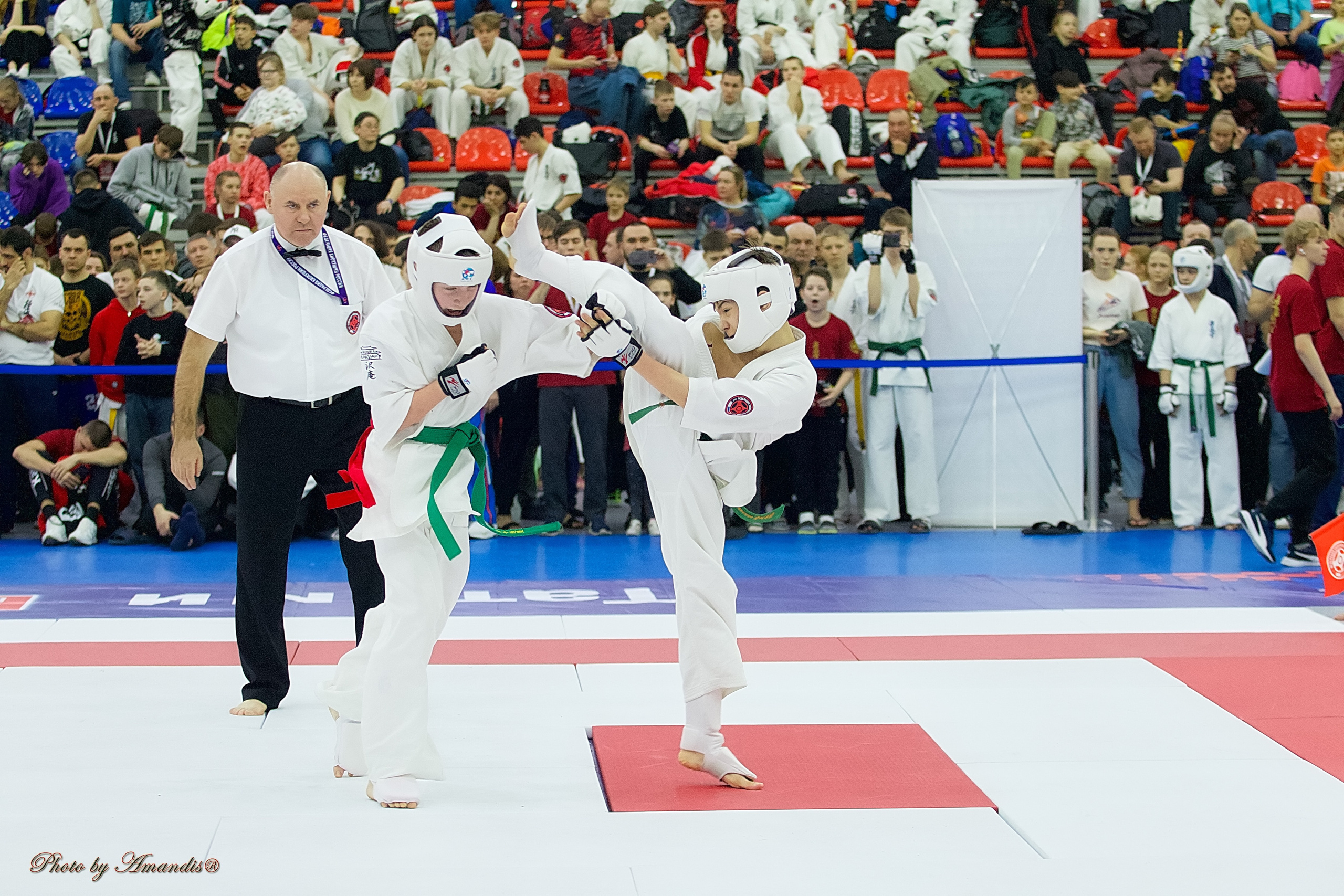 Чемпионат России по Киокушин. Репортажная съемка в Москве и области. Анималистика