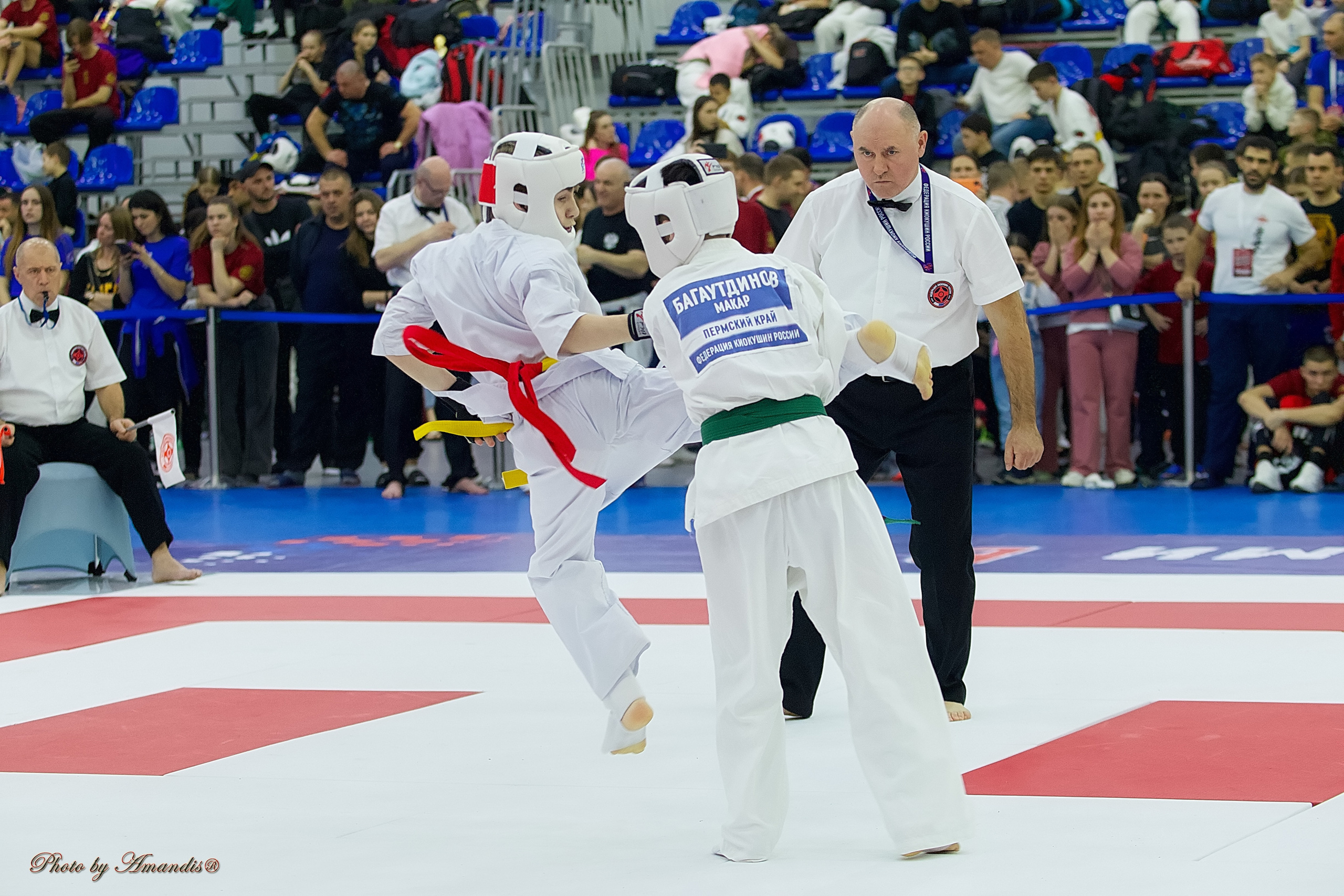 Чемпионат России по Киокушин. Репортажная съемка в Москве и области. Анималистика