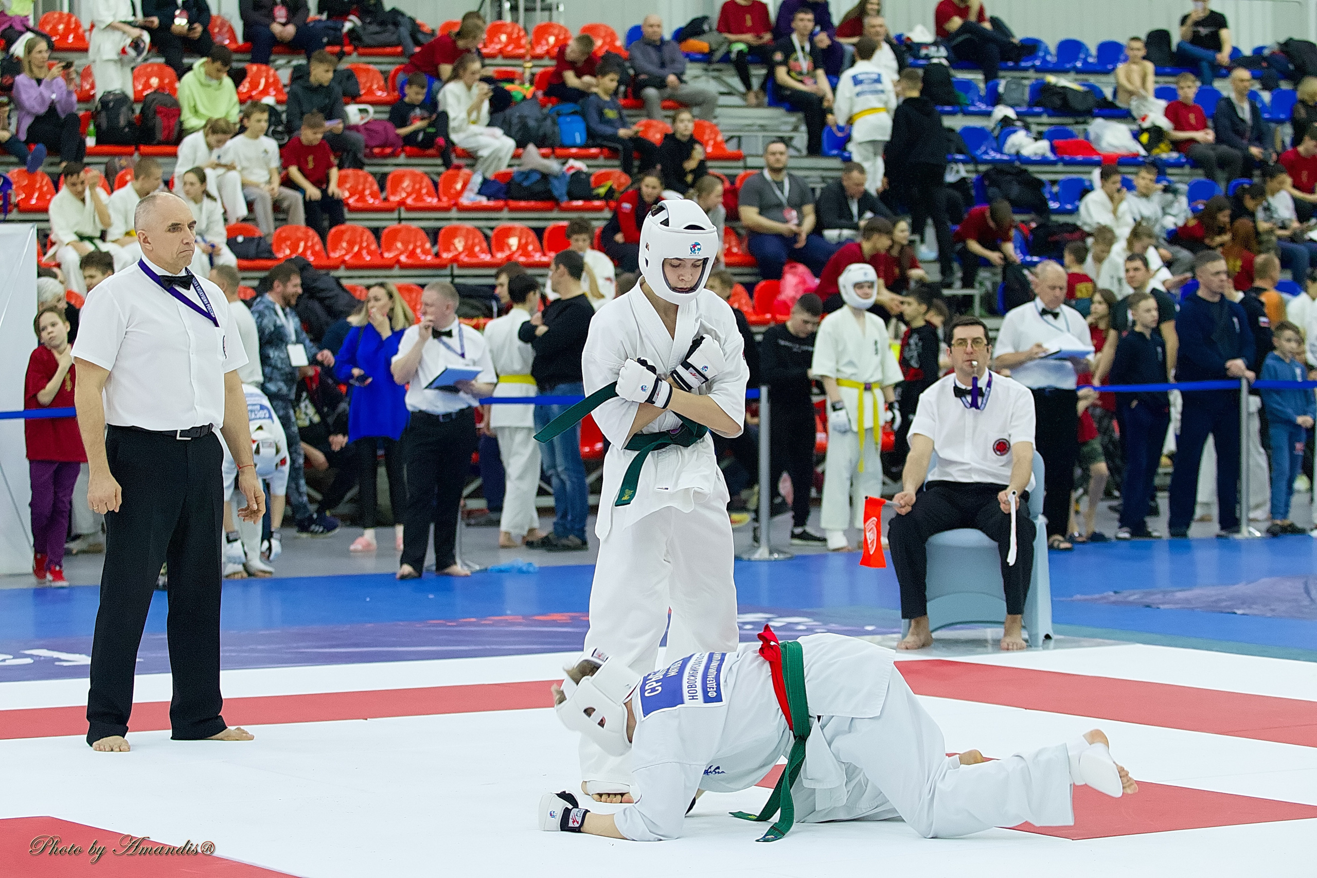 Чемпионат России по Киокушин. Репортажная съемка в Москве и области. Анималистика