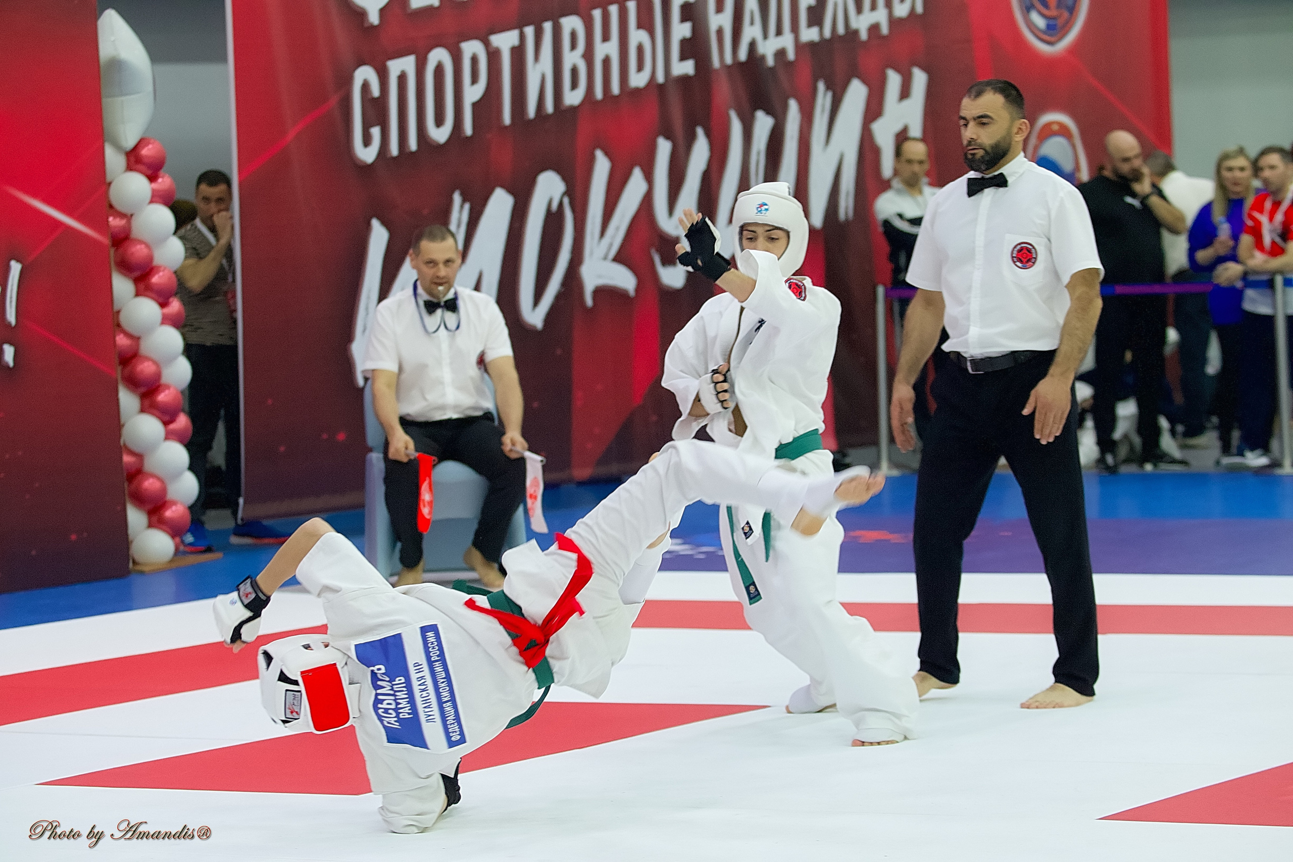 Чемпионат России по Киокушин. Репортажная съемка в Москве и области. Анималистика