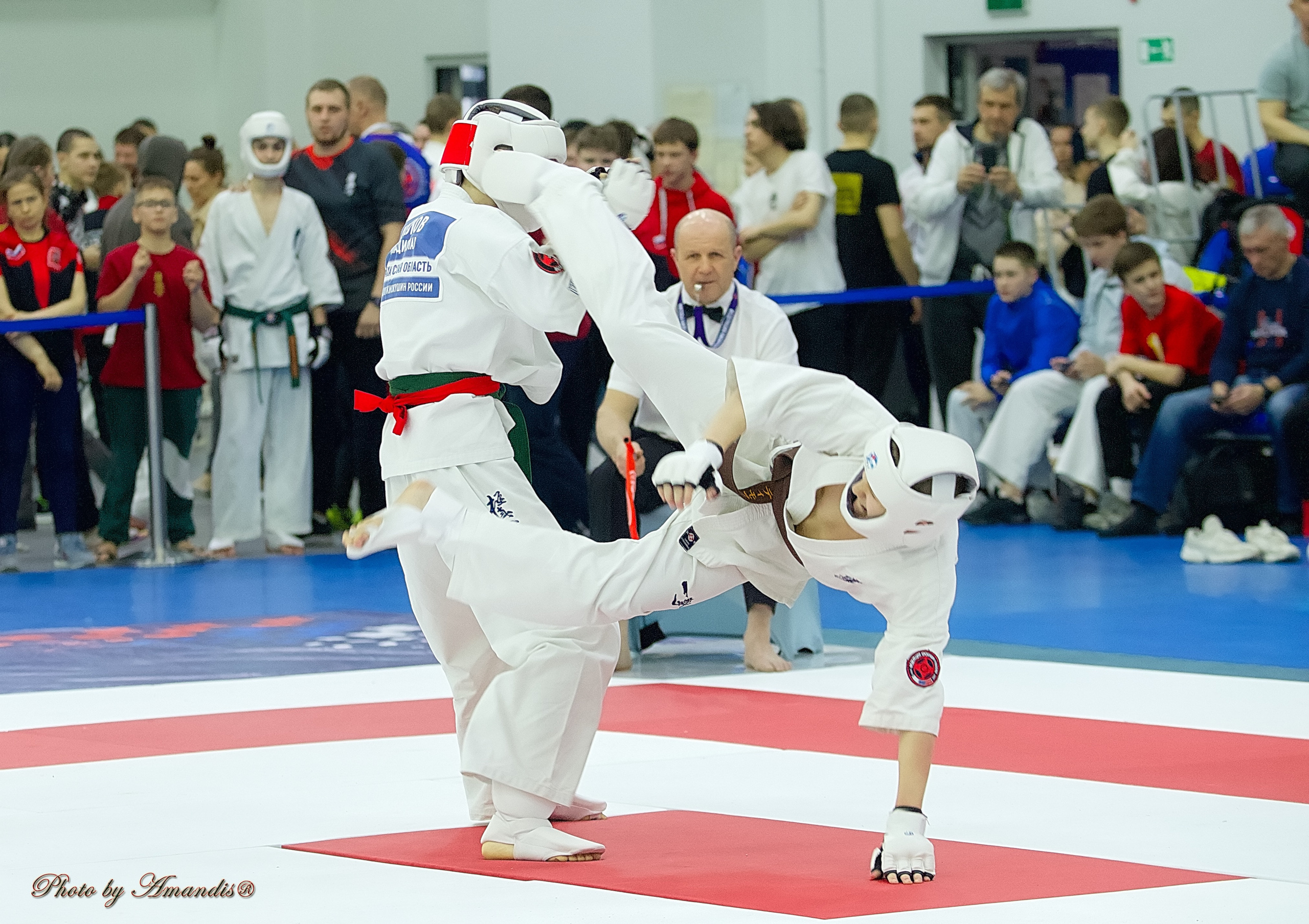 Чемпионат России по Киокушин. Репортажная съемка в Москве и области. Анималистика