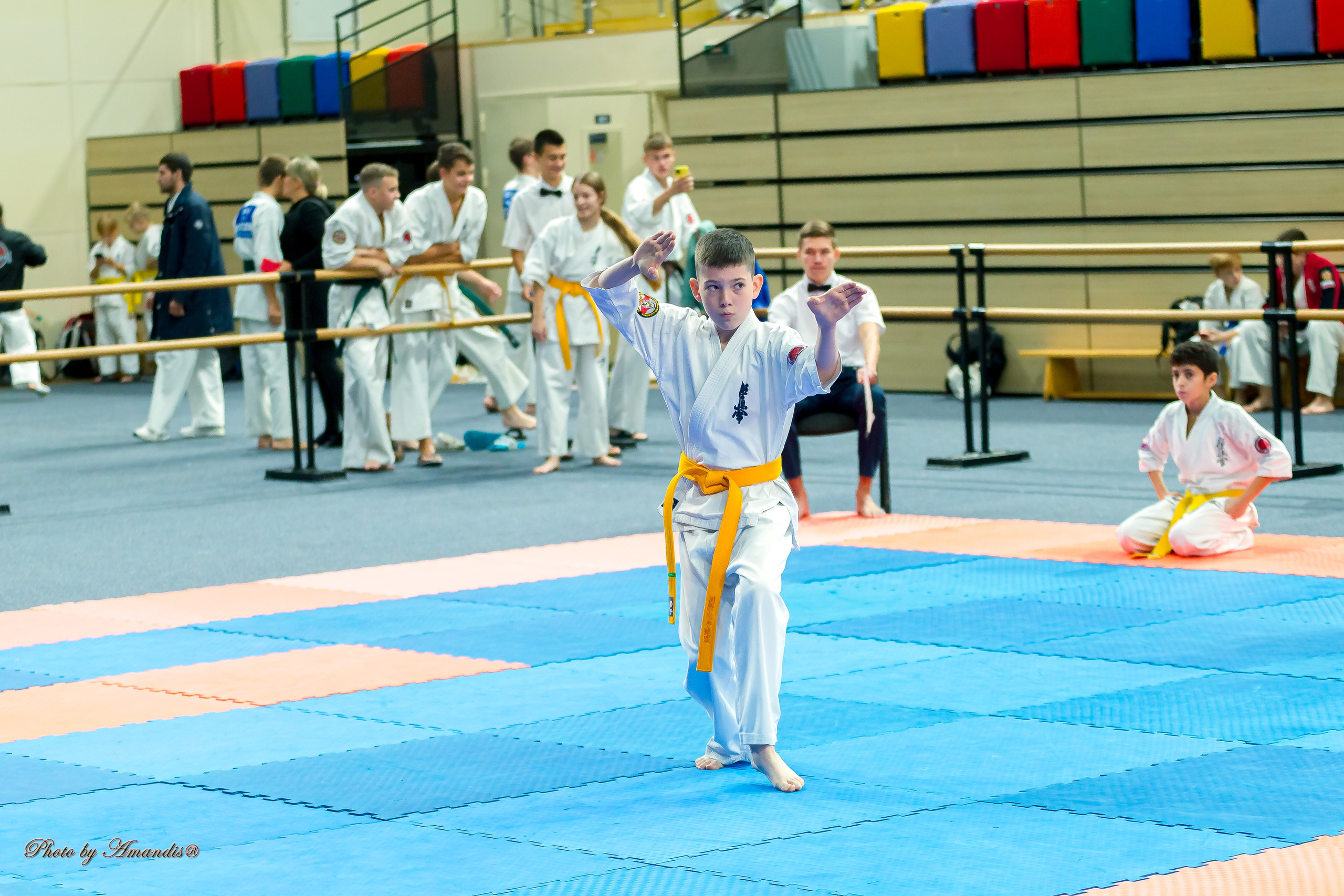 Первенство Московской области по Киокушин в СК «Жаворонки». Репортажная съемка в Москве и области. Анималистика