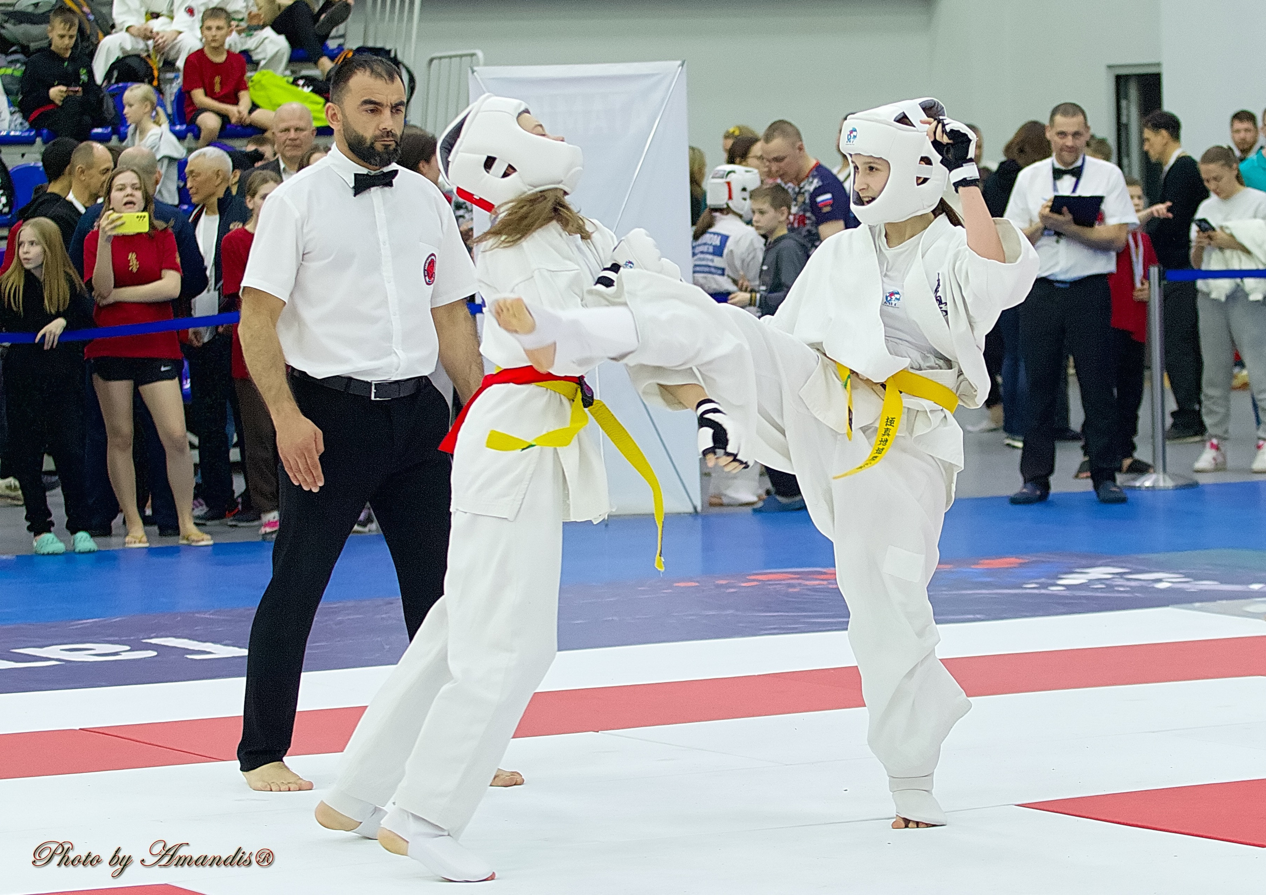 Чемпионат России по Киокушин. Репортажная съемка в Москве и области. Анималистика