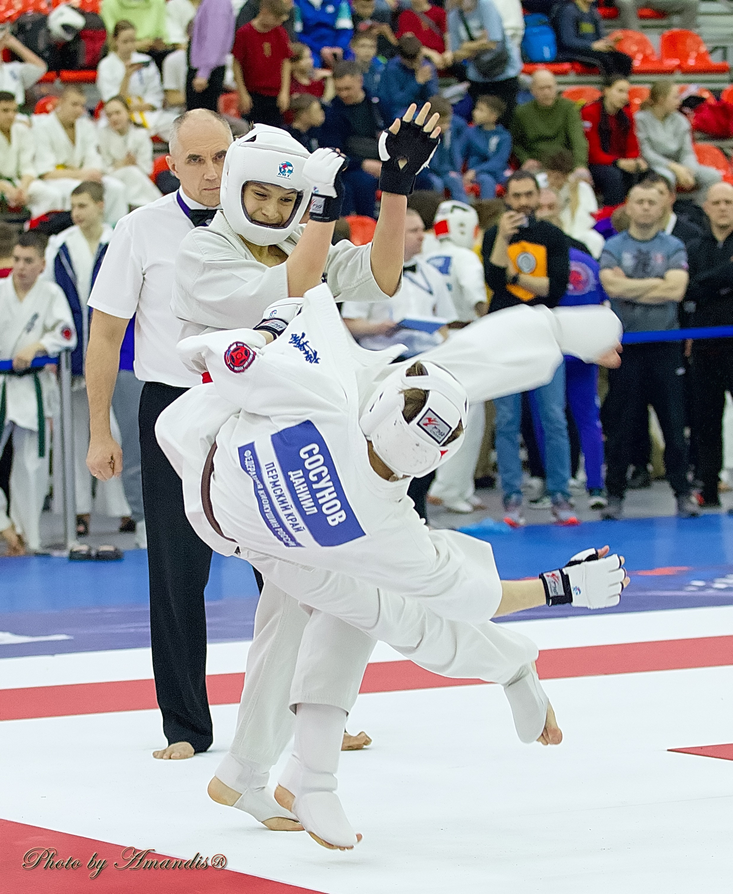 Чемпионат России по Киокушин. Репортажная съемка в Москве и области. Анималистика