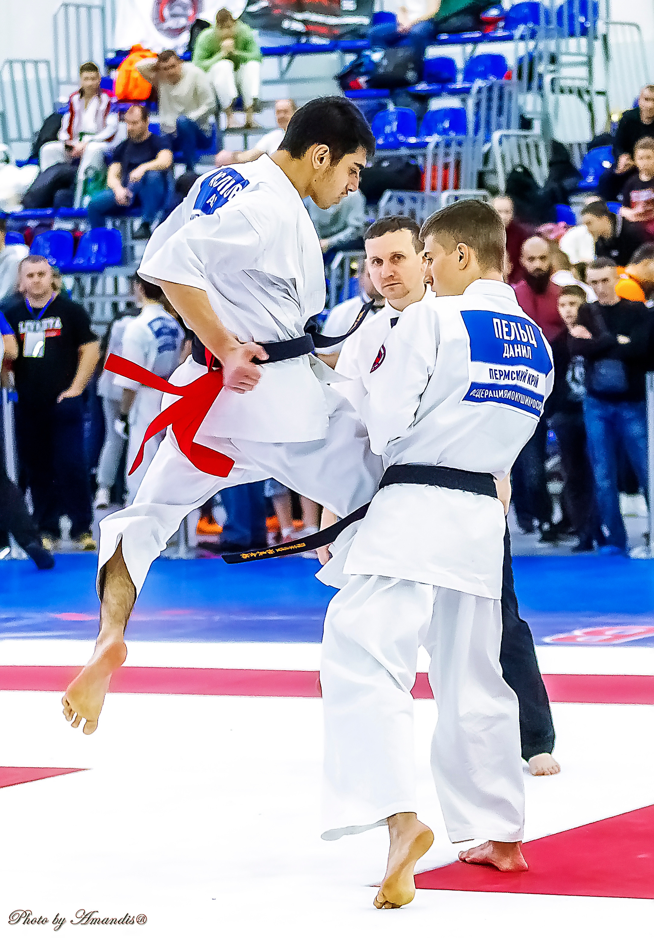 Чемпионат России по Киокушинкай (ноябрь 2022). Репортажная съемка в Москве и области. Анималистика