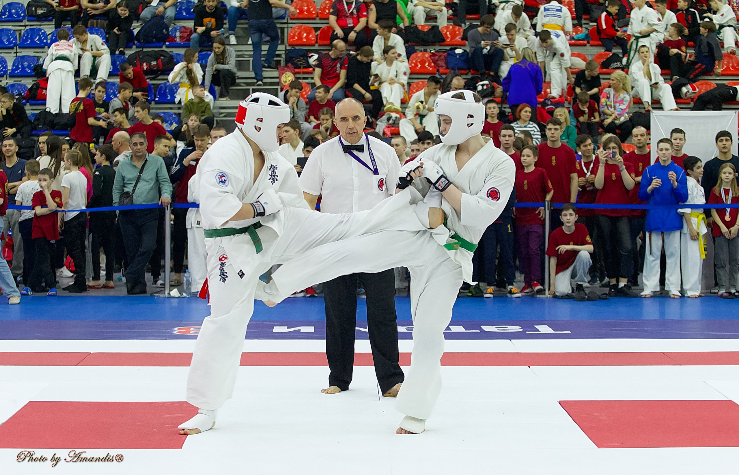 Чемпионат России по Киокушин. Репортажная съемка в Москве и области. Анималистика