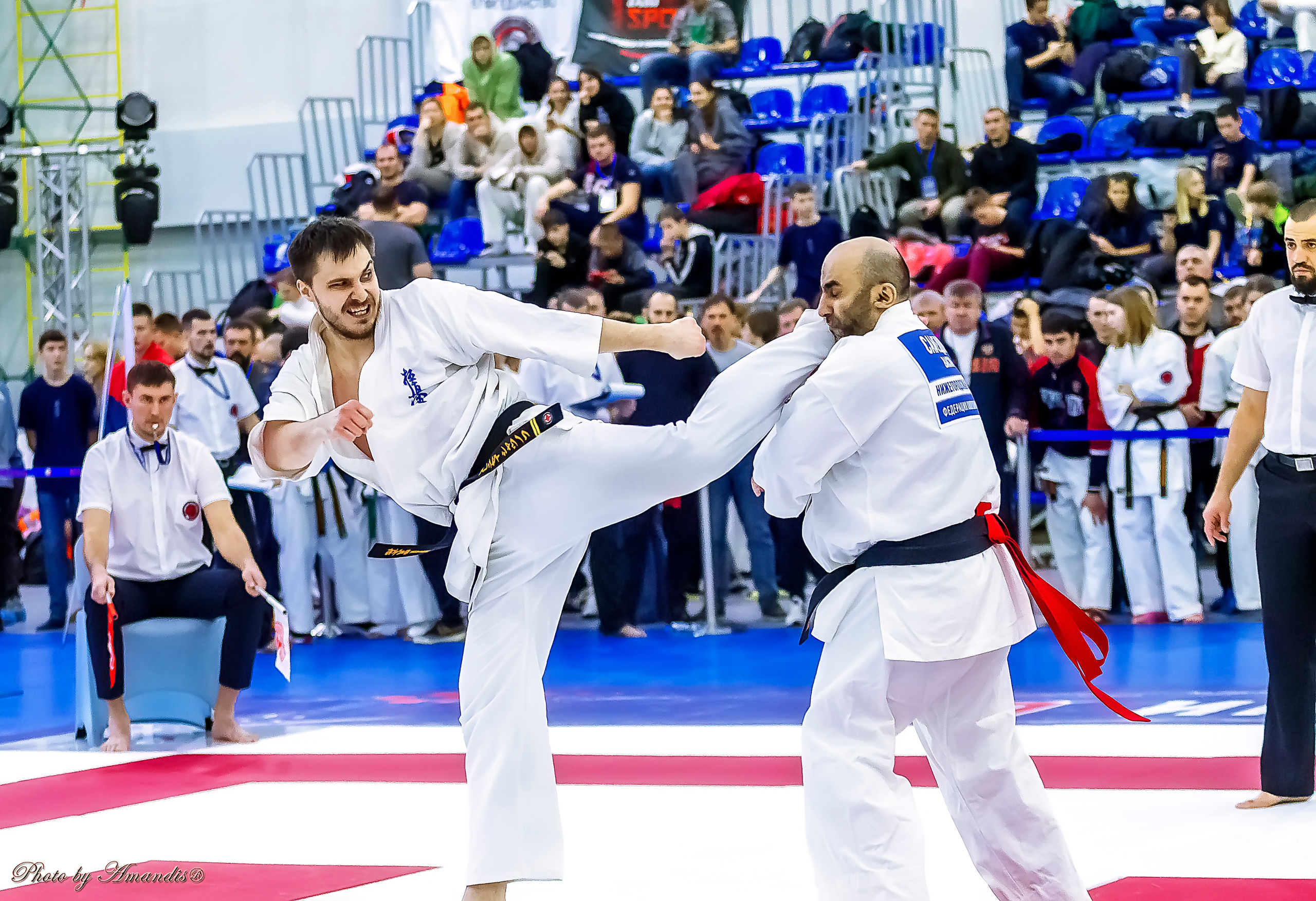 Чемпионат России по Киокушинкай (ноябрь 2022). Репортажная съемка в Москве и области. Анималистика