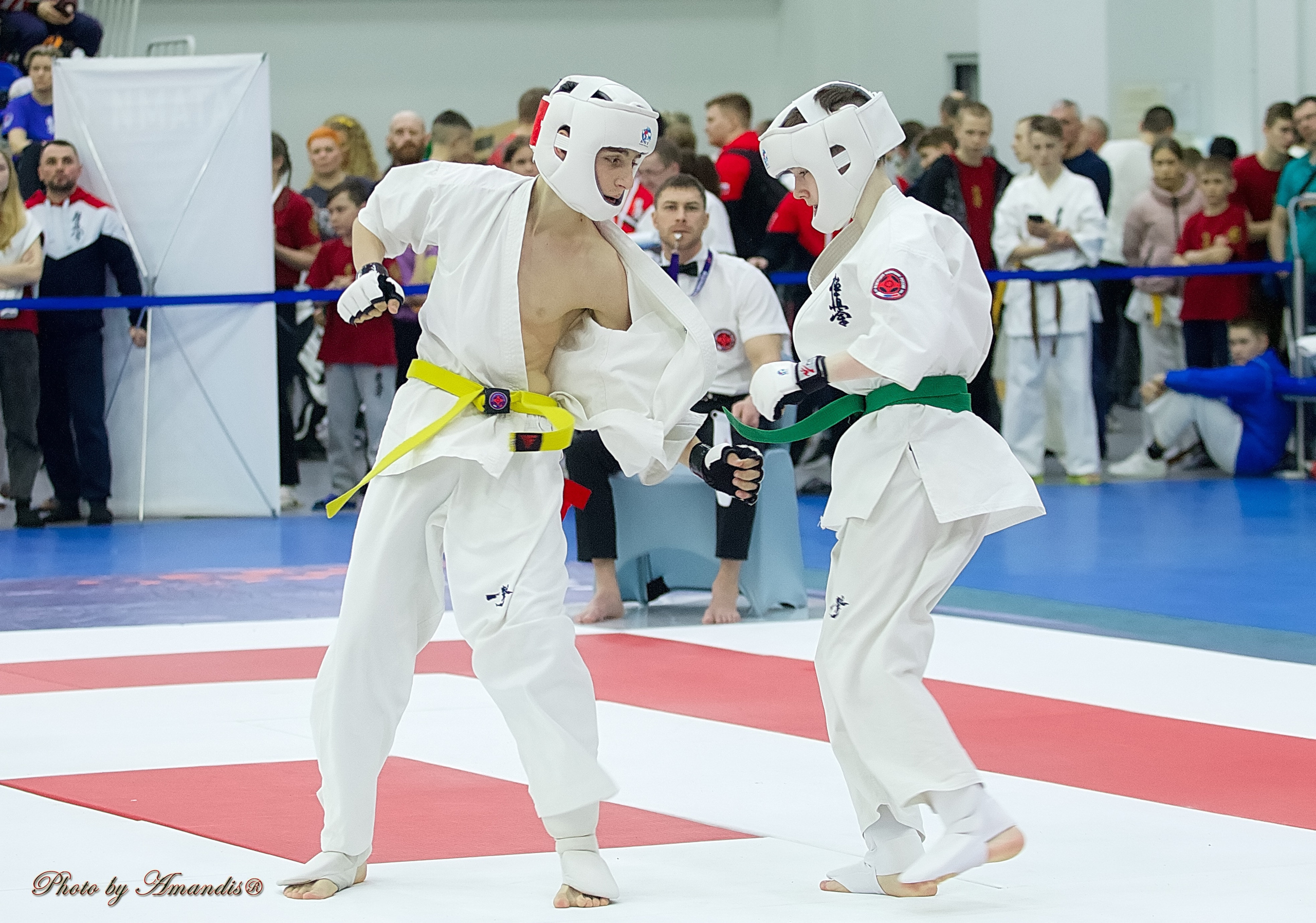 Чемпионат России по Киокушин. Репортажная съемка в Москве и области. Анималистика