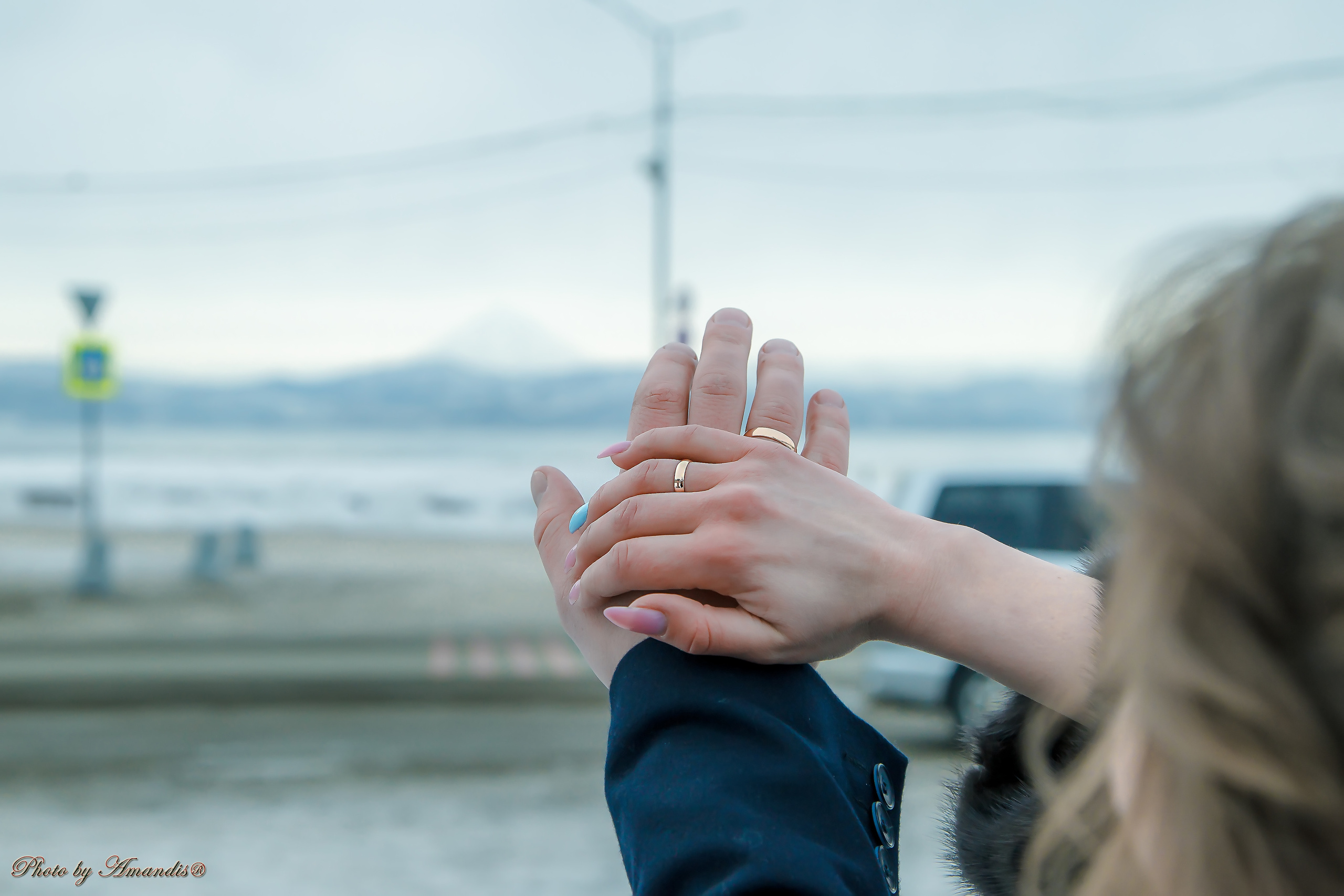 Свадьба Ивана и Марии (Петропавловск-Камчатский, январь 2019). Репортажная съемка в Москве и области. Анималистика