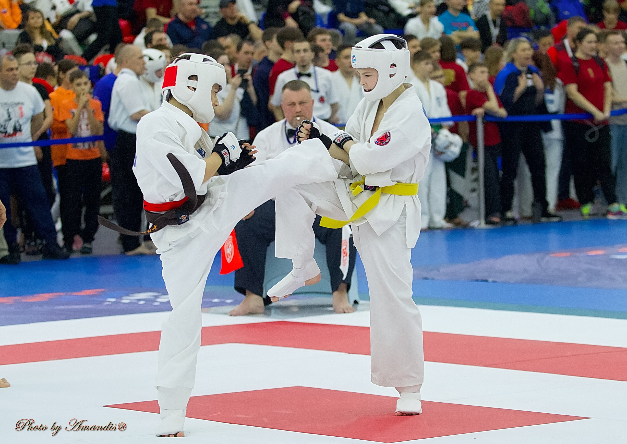 Чемпионат России по Киокушин. Репортажная съемка в Москве и области. Анималистика