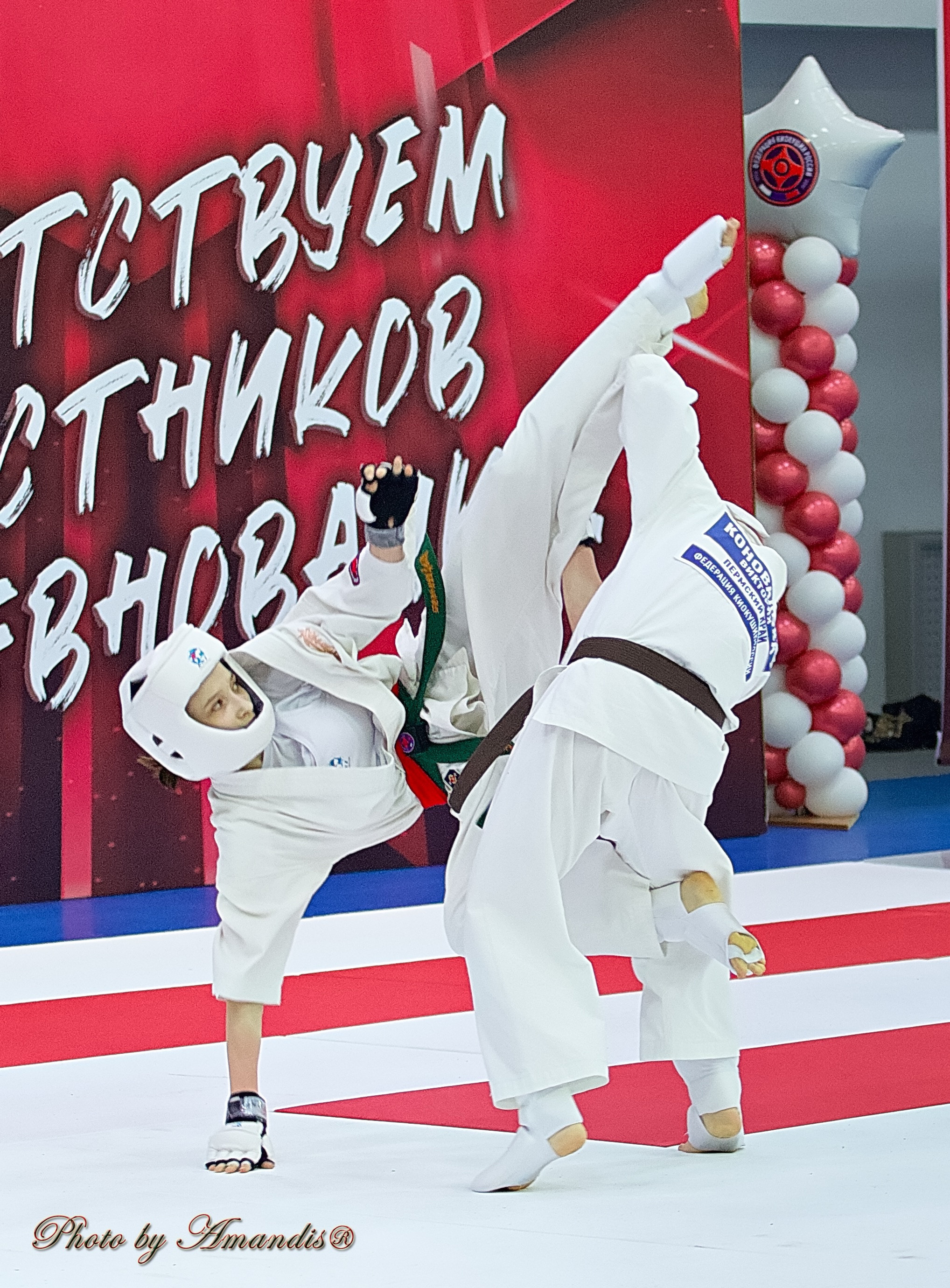 Чемпионат России по Киокушин. Репортажная съемка в Москве и области. Анималистика