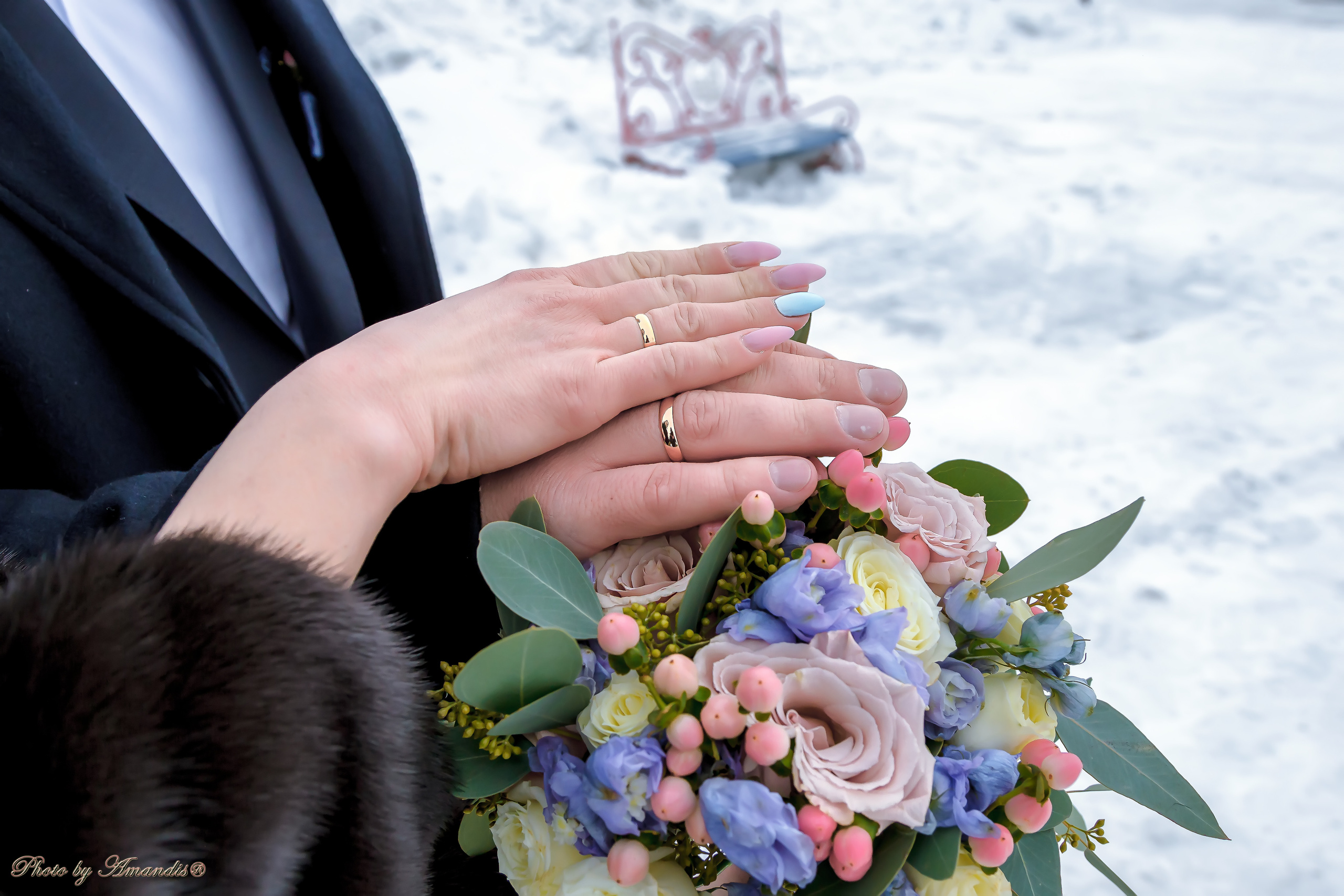 Свадьба Ивана и Марии (Петропавловск-Камчатский, январь 2019). Репортажная съемка в Москве и области. Анималистика