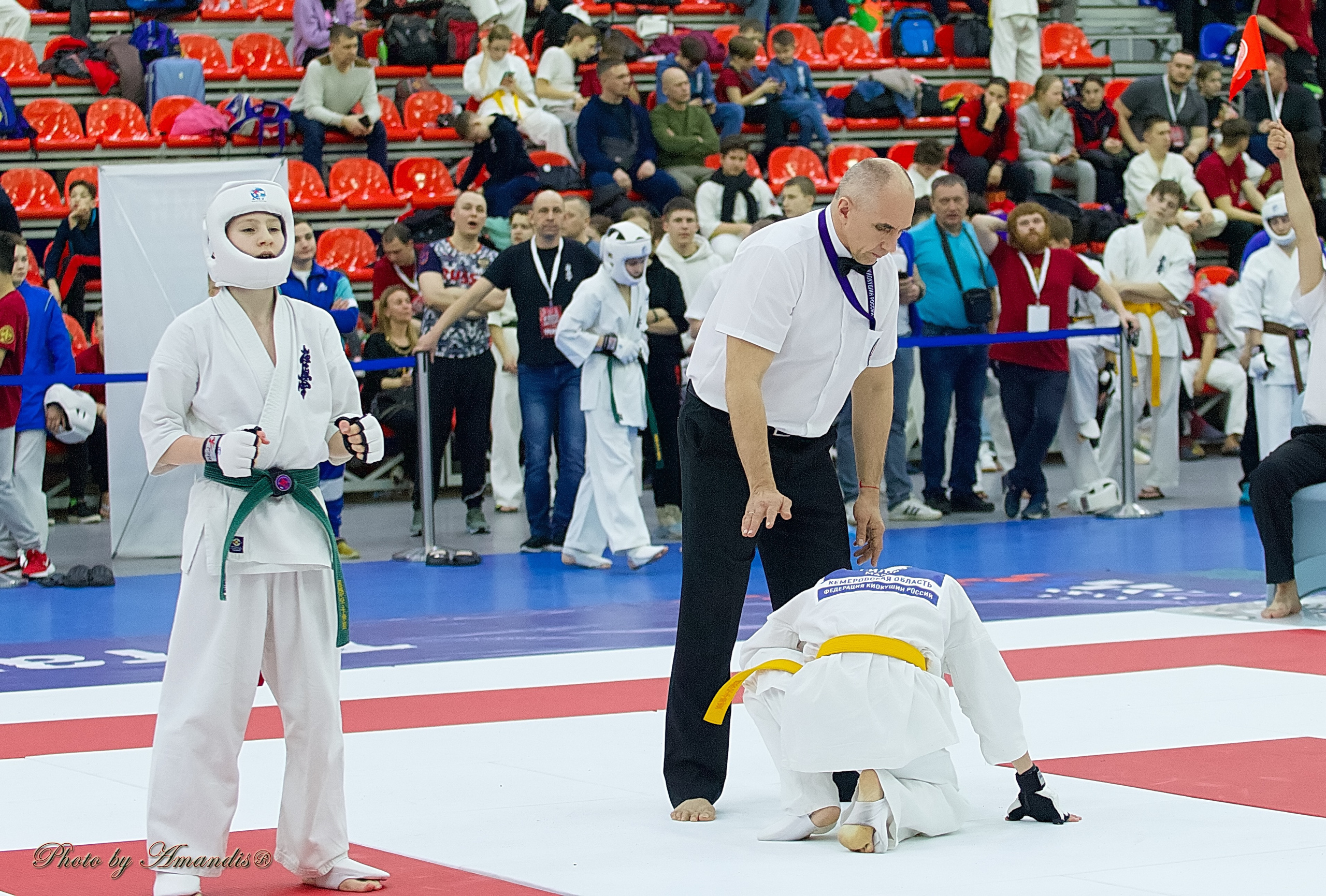 Чемпионат России по Киокушин. Репортажная съемка в Москве и области. Анималистика