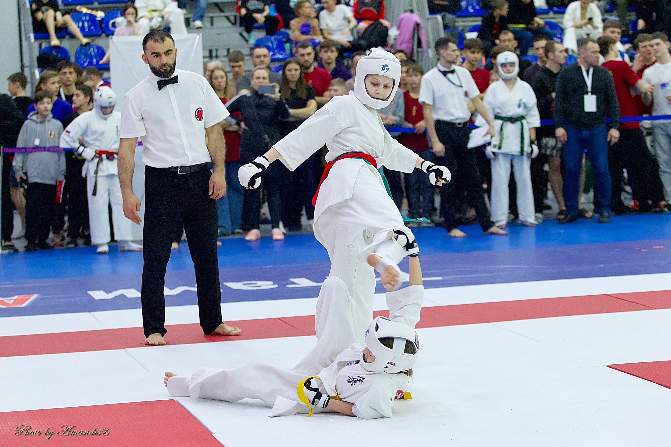 Чемпионат России по Киокушин. Репортажная съемка в Москве и области. Анималистика