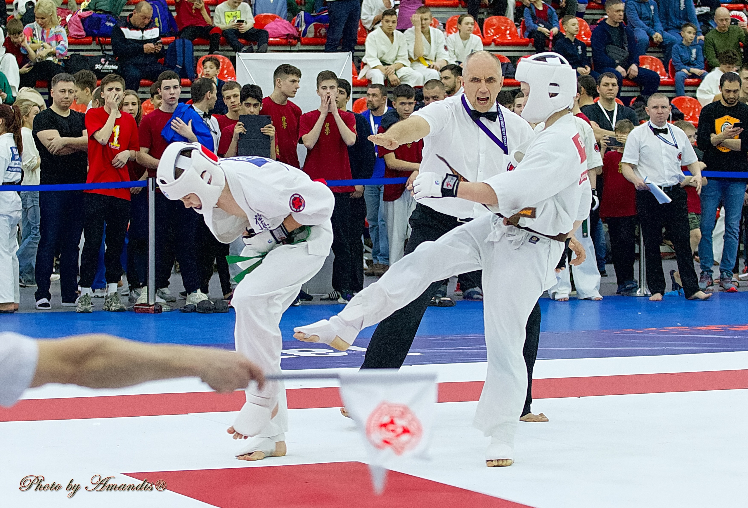 Чемпионат России по Киокушин. Репортажная съемка в Москве и области. Анималистика