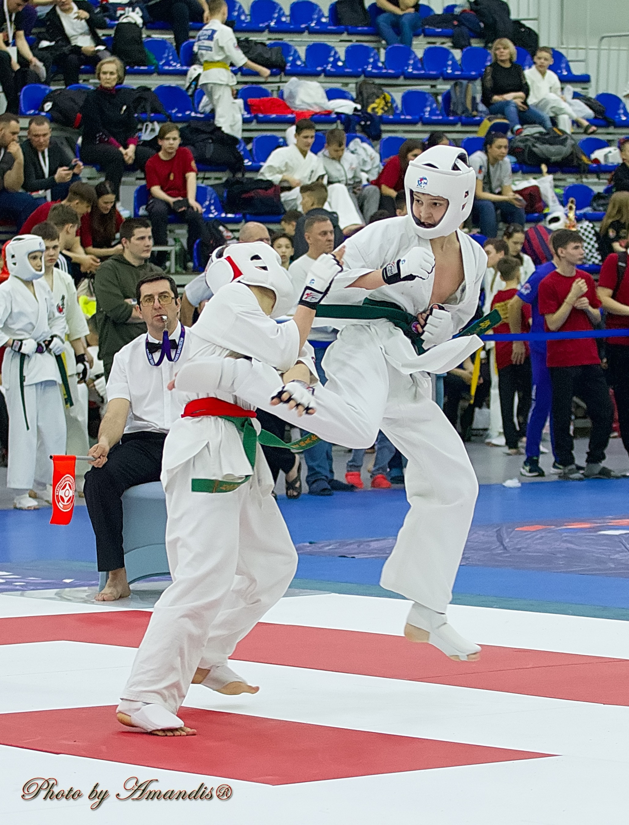 Чемпионат России по Киокушин. Репортажная съемка в Москве и области. Анималистика