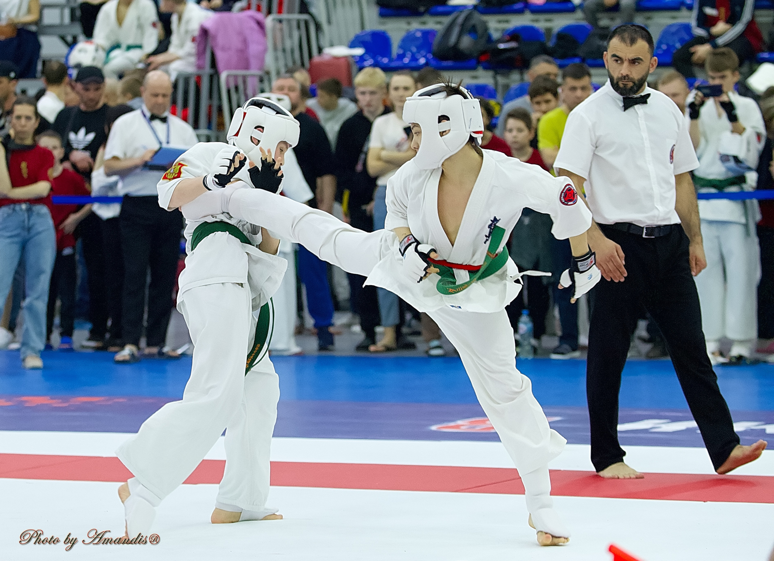 Чемпионат России по Киокушин. Репортажная съемка в Москве и области. Анималистика