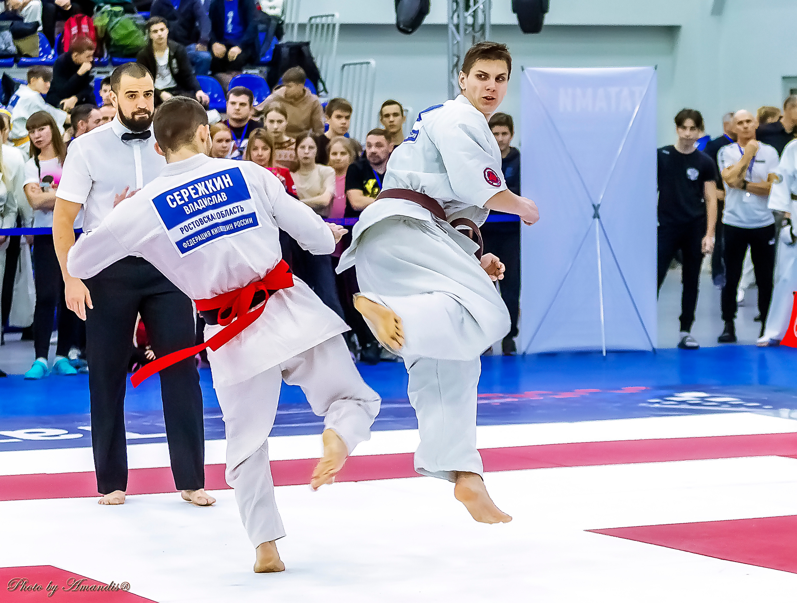 Чемпионат России по Киокушинкай (ноябрь 2022). Репортажная съемка в Москве и области. Анималистика