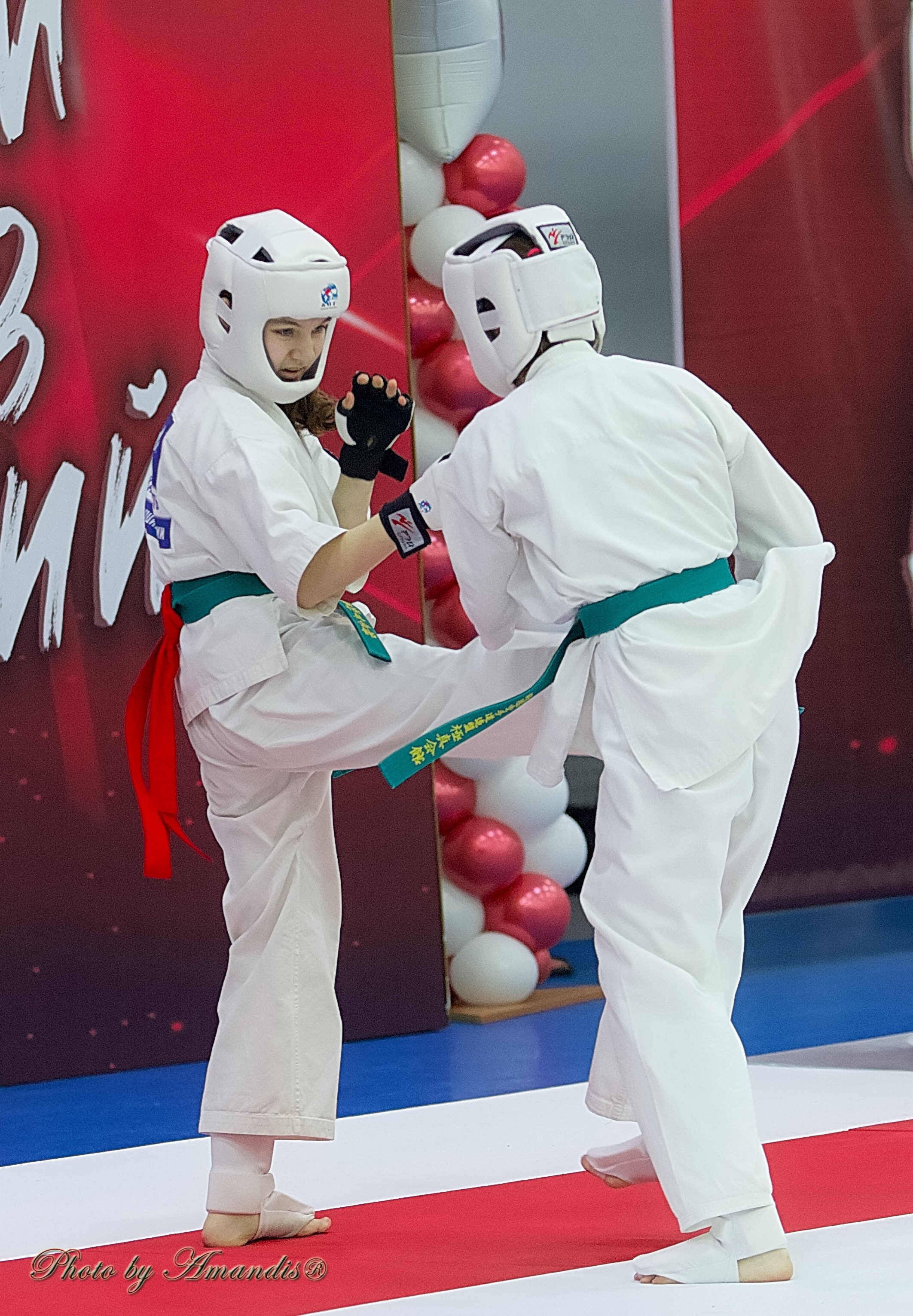 Чемпионат России по Киокушин. Репортажная съемка в Москве и области. Анималистика