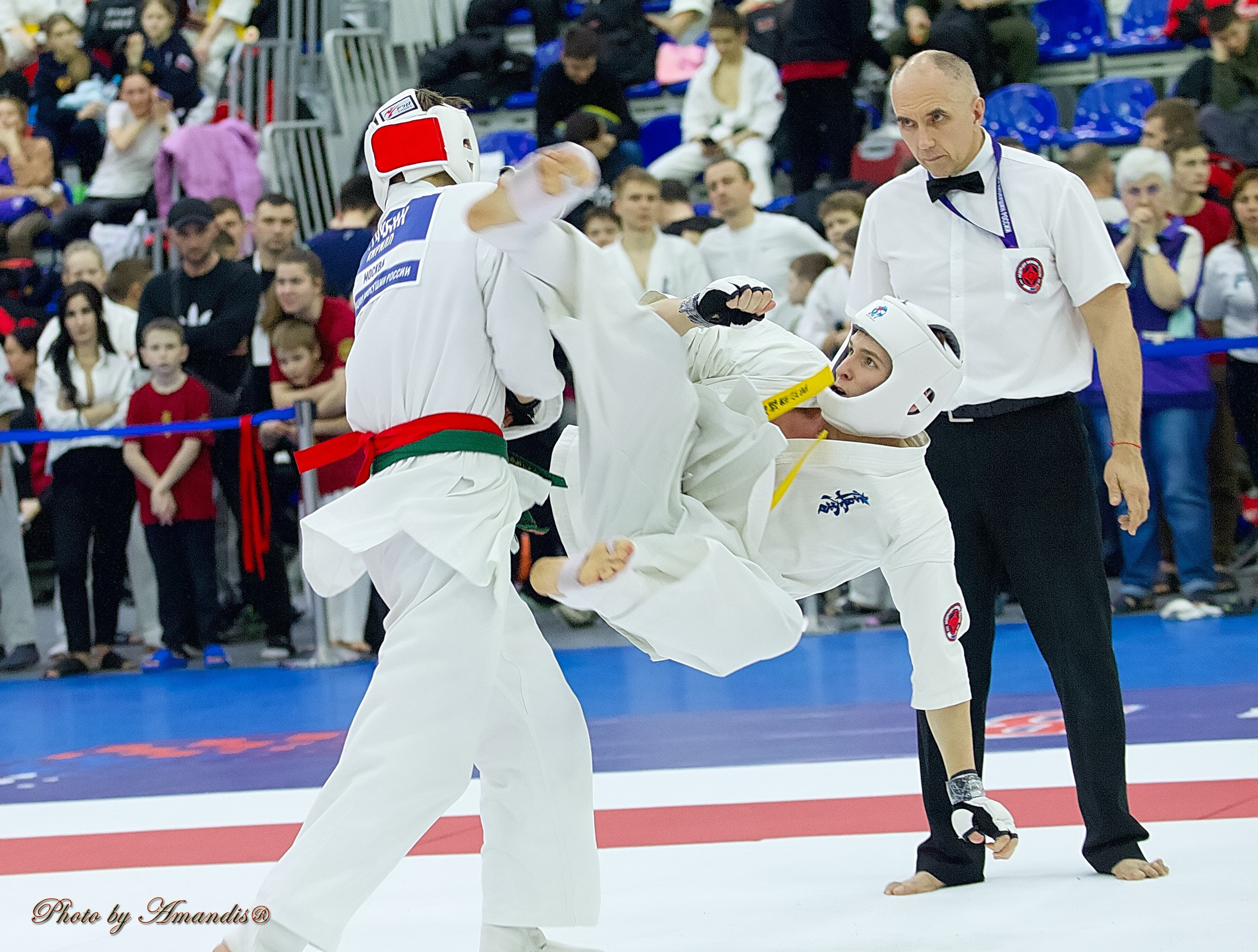 Чемпионат России по Киокушин. Репортажная съемка в Москве и области. Анималистика