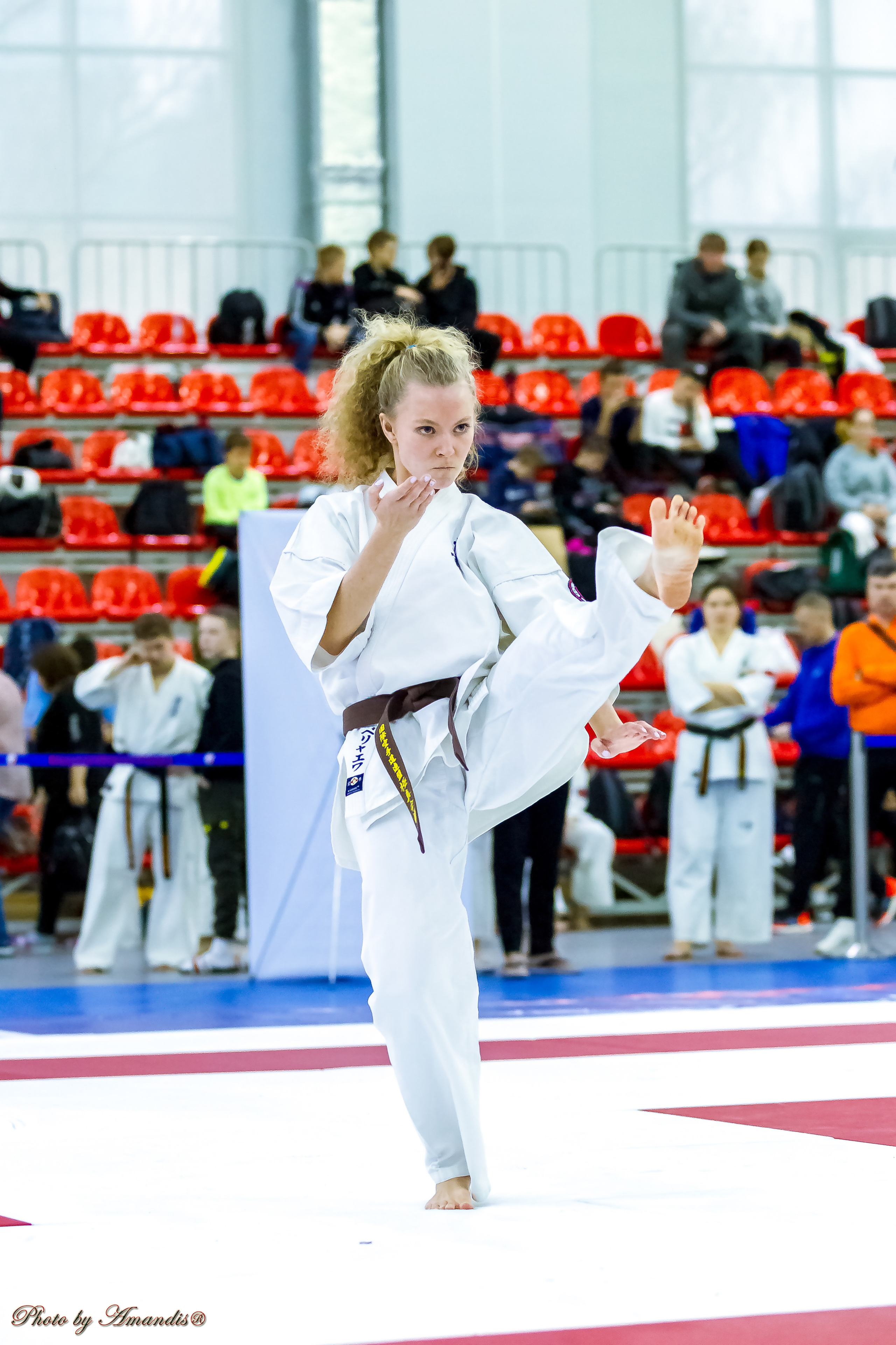 Чемпионат России по Киокушинкай (ноябрь 2022). Репортажная съемка в Москве и области. Анималистика