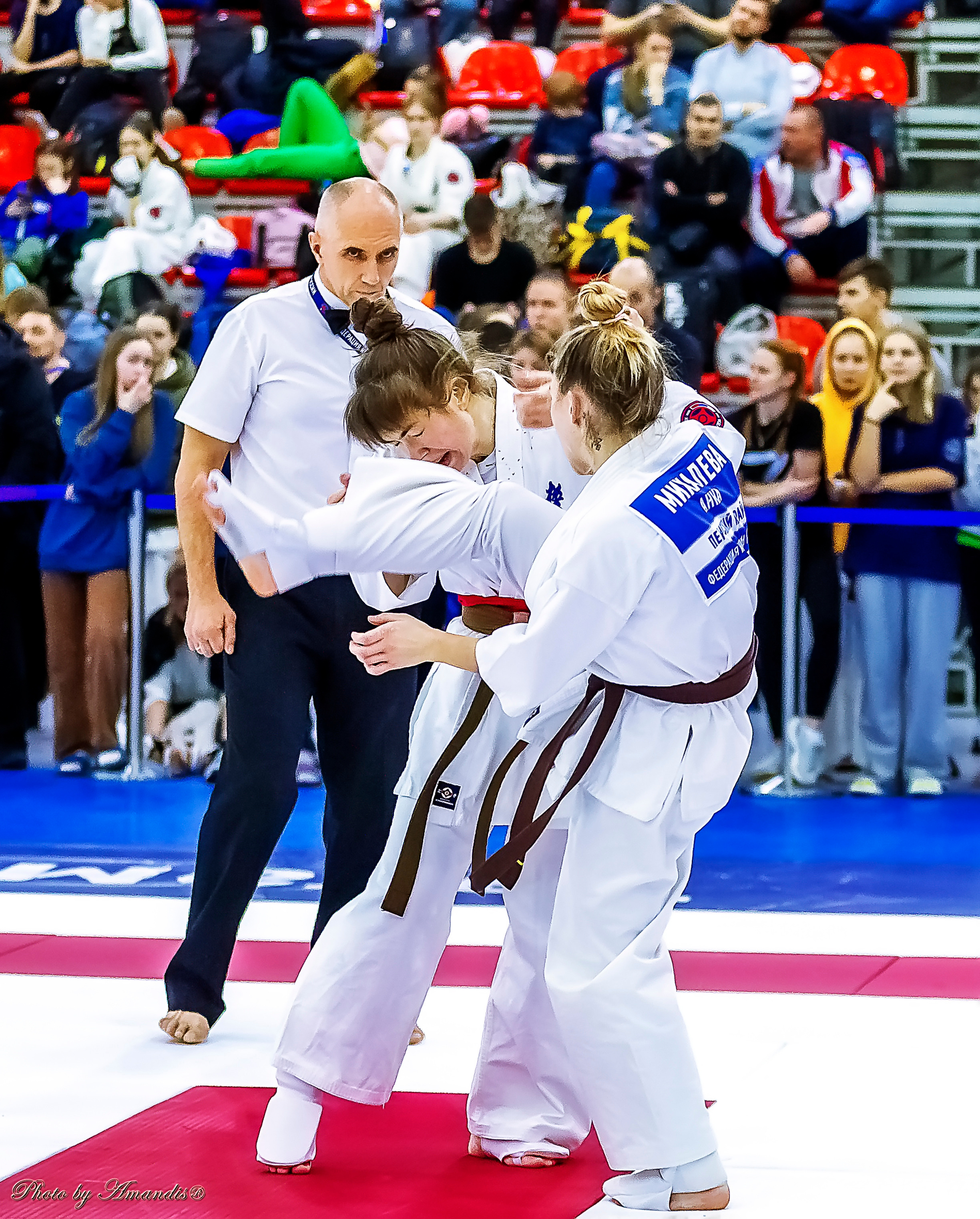 Чемпионат России по Киокушинкай (ноябрь 2022). Репортажная съемка в Москве и области. Анималистика